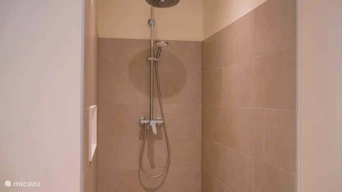 La ducha del baño principal