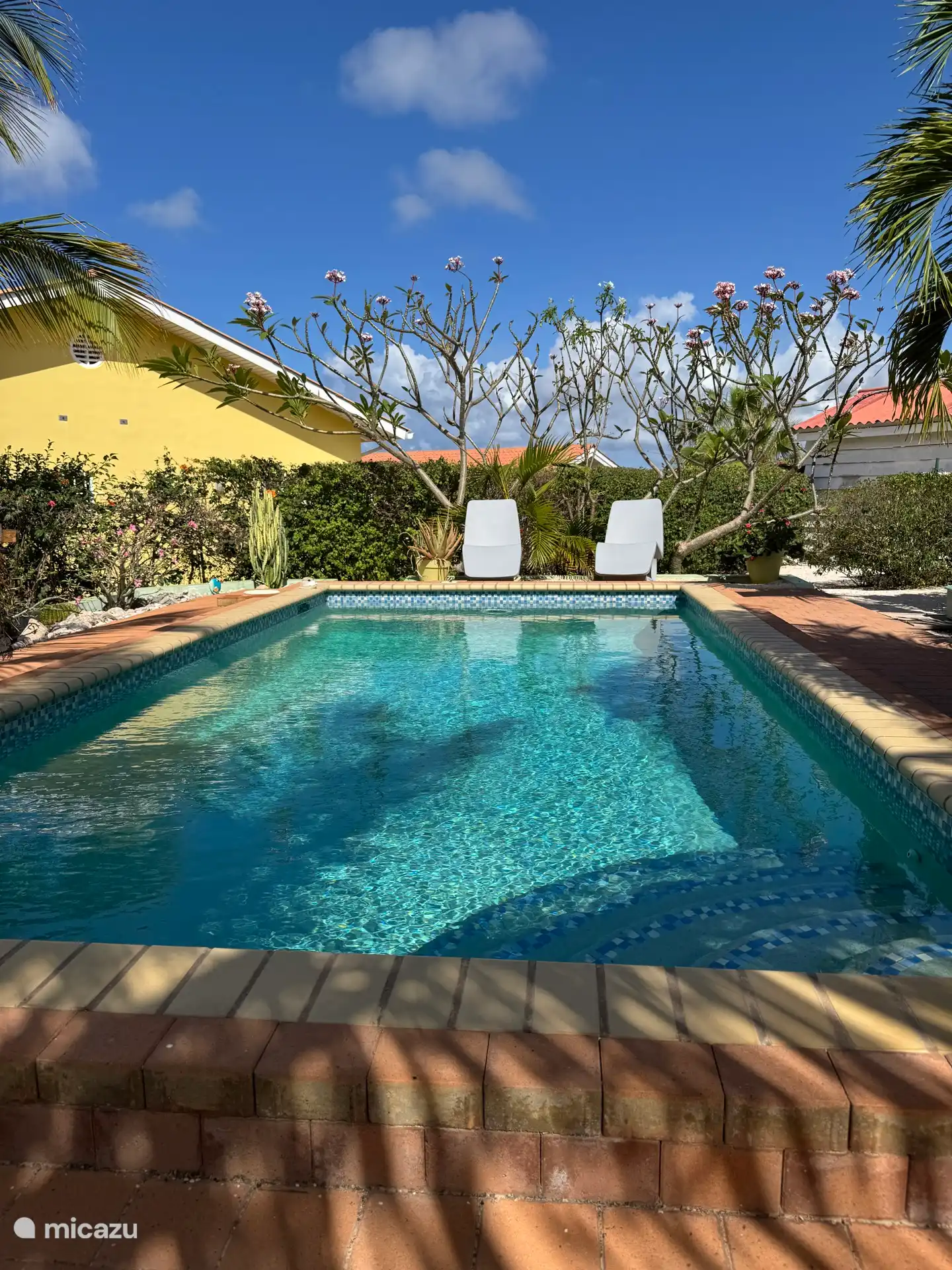 Zwembad met lounge bedden