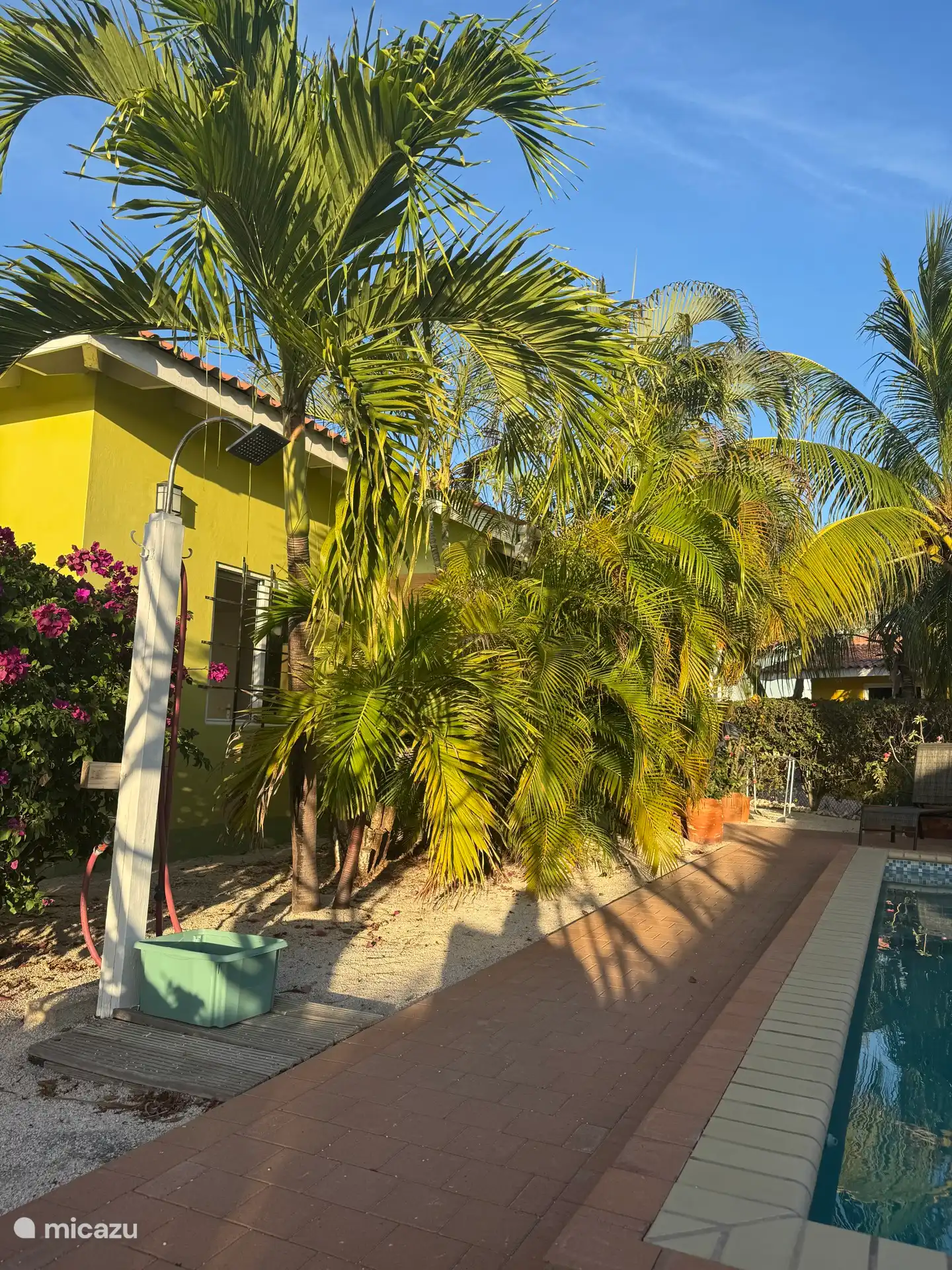 Tuin aan terras zijde met buitendouche