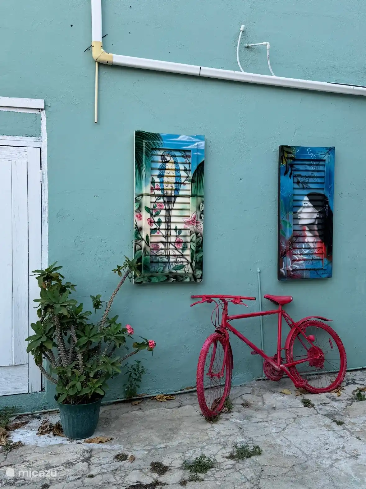 Mooi plaatje in Punda