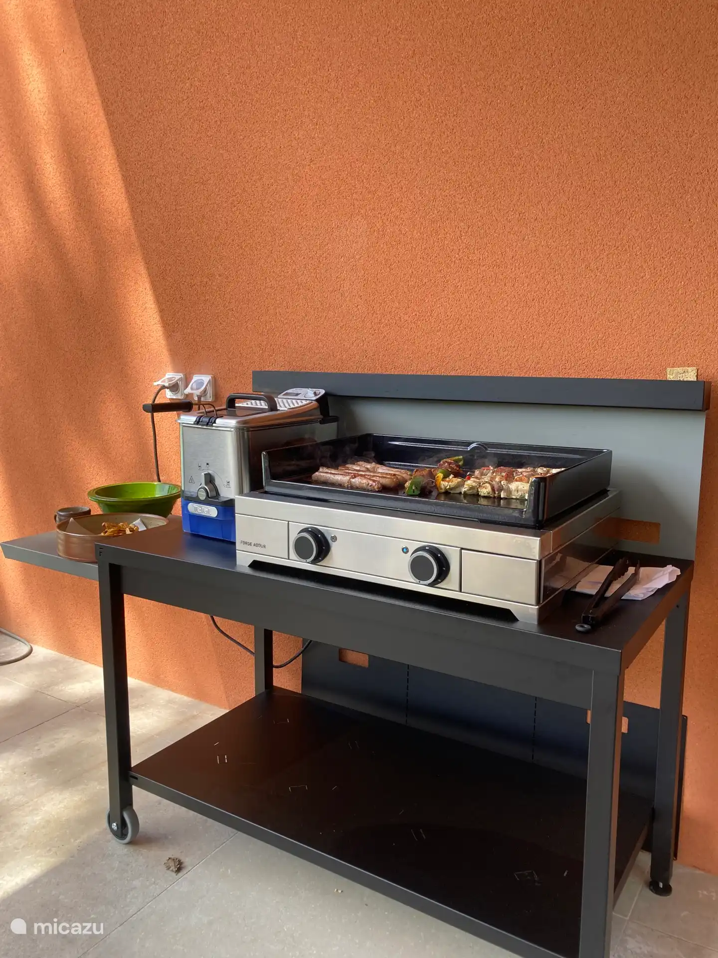 Electric plancha Forge Adour and self-filtering electric fryer.