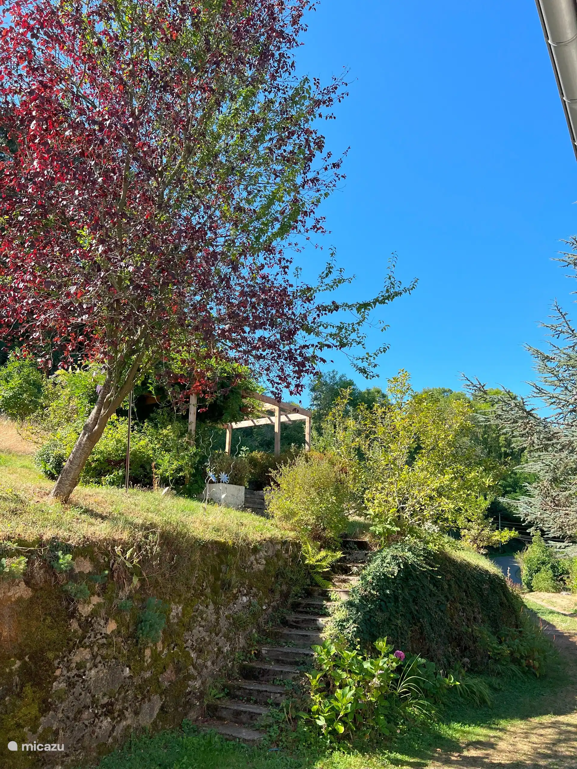 2e terras met beschutting 