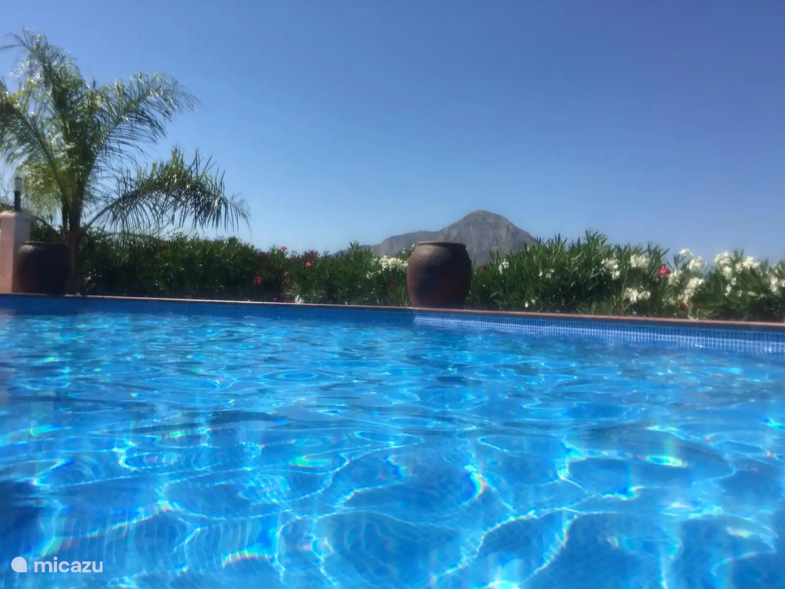 Preciosas vistas de la montaña Monto mientras se nada en la piscina.