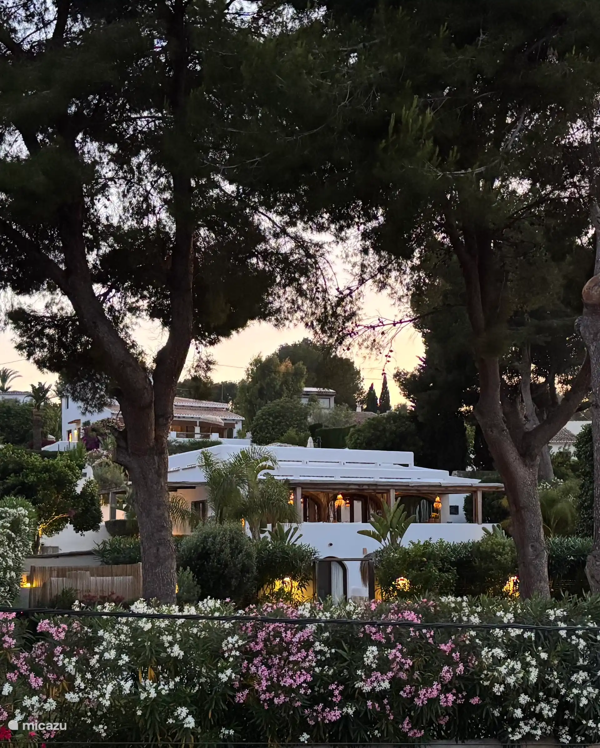 Mediterrane tuin met majestueze pijnbomen
