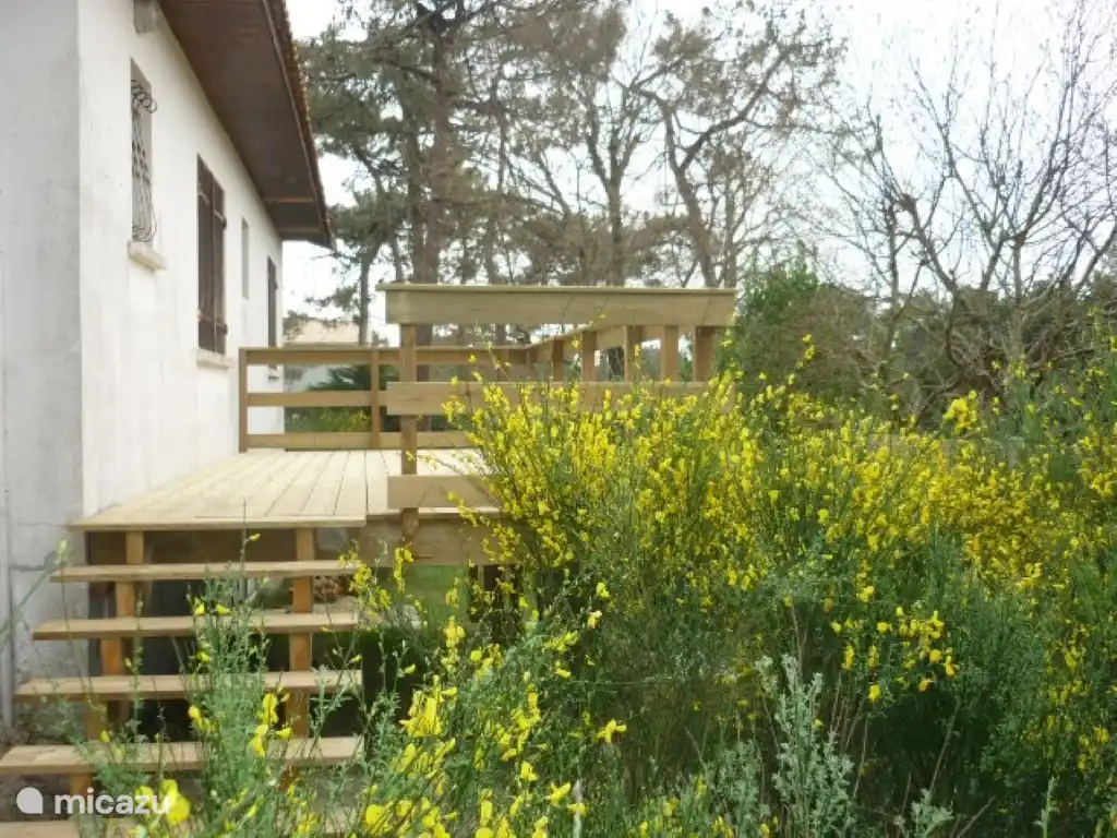 Le balcon à l’arrière avec des ajoncs fleuris.
