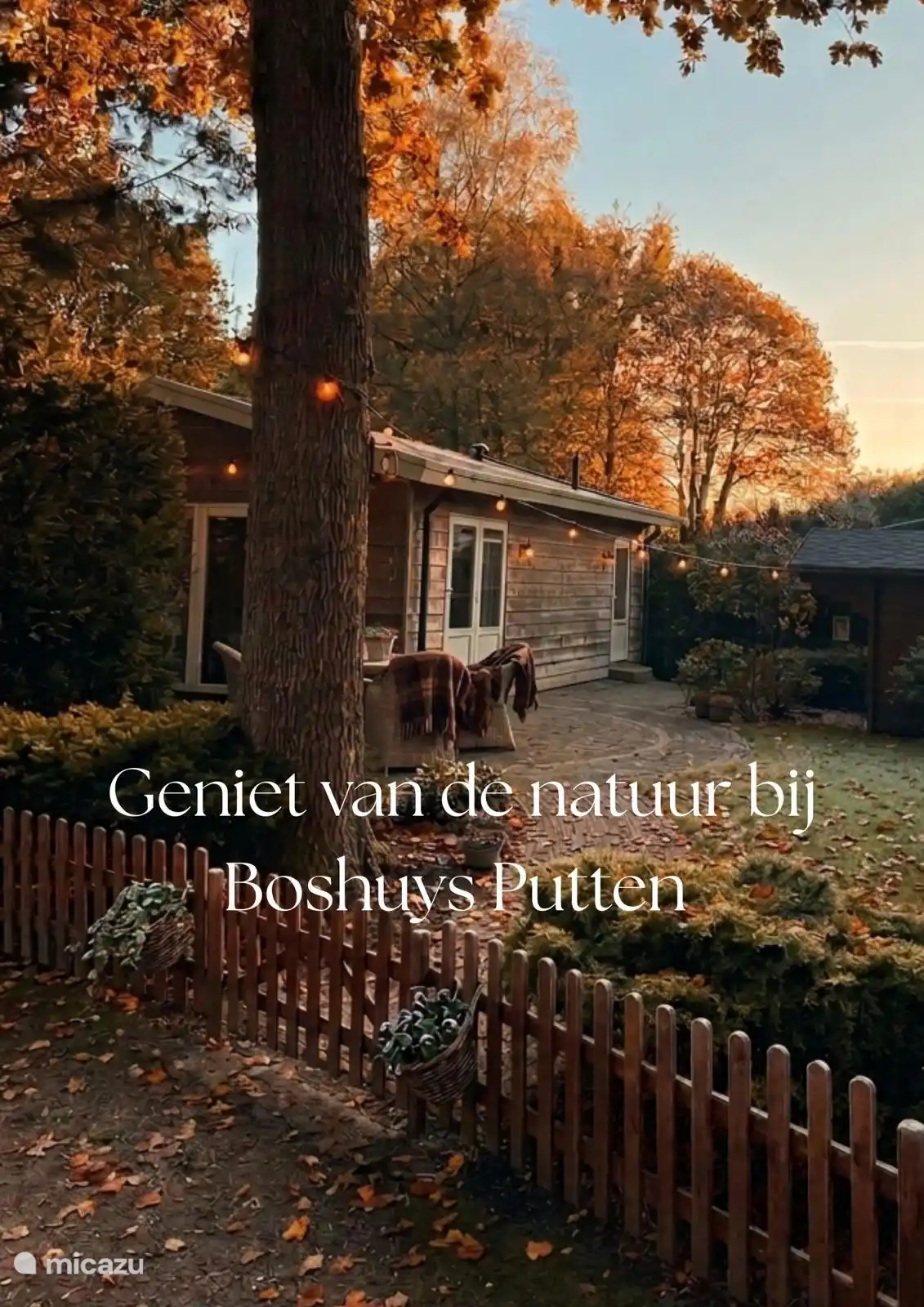 chalet, Putten, Gelderland, Netherlands - Boshuys Putten