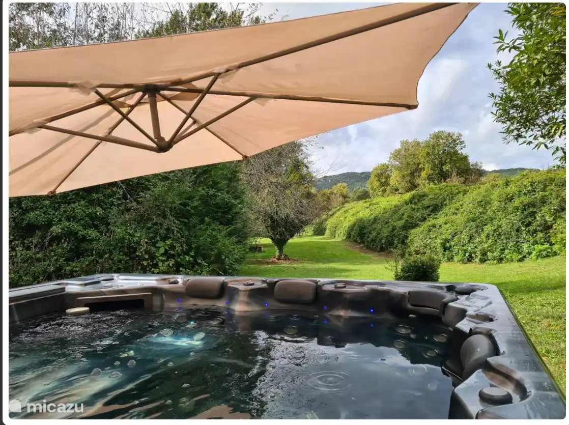 Jaccuzi with a view of the backyard