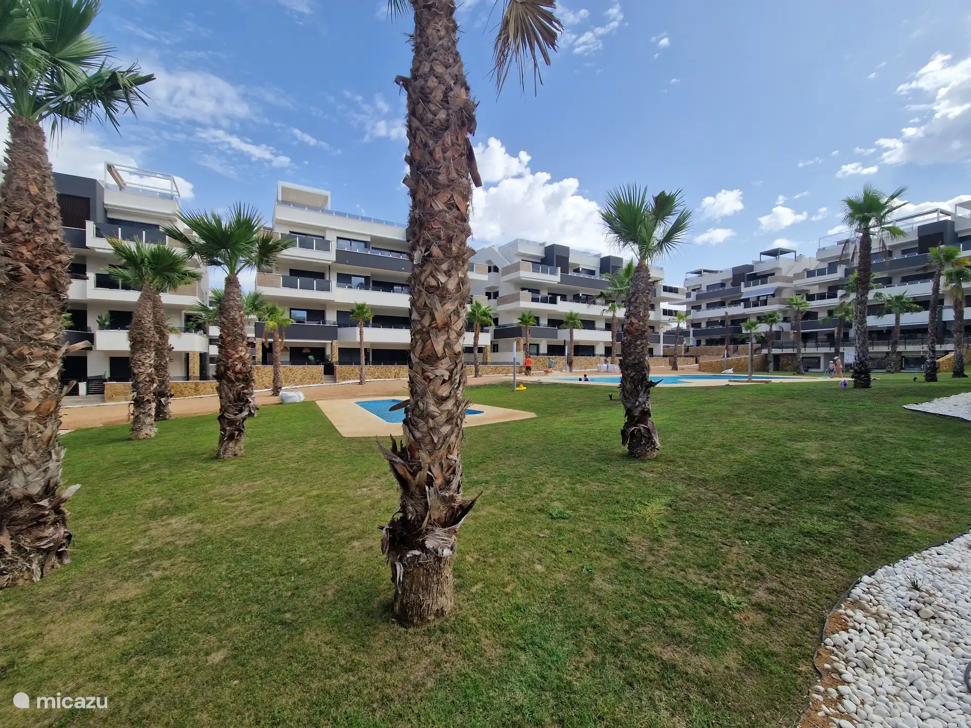 Palm Garden