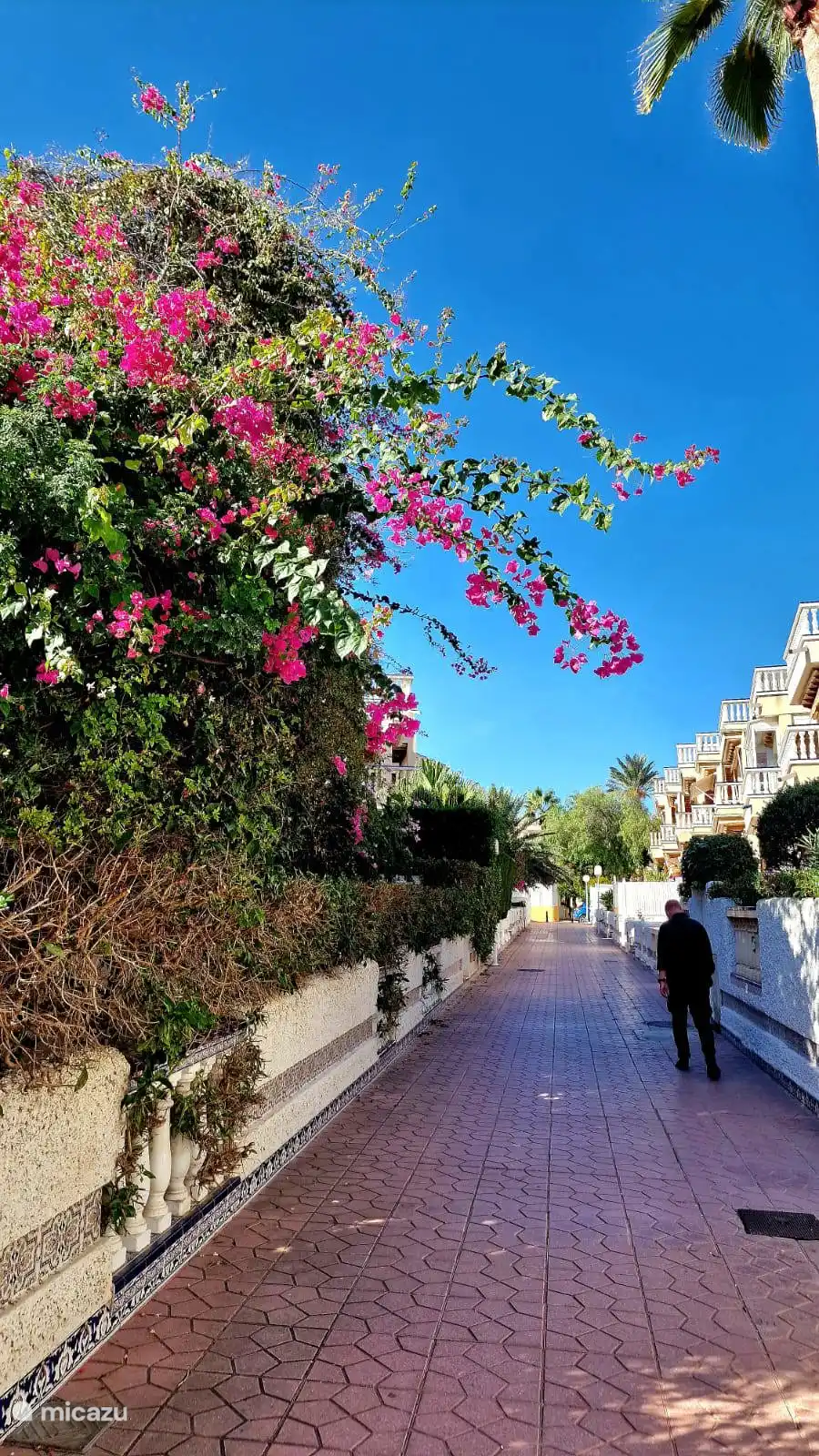 Paseando por las calles de Orihuela Costa