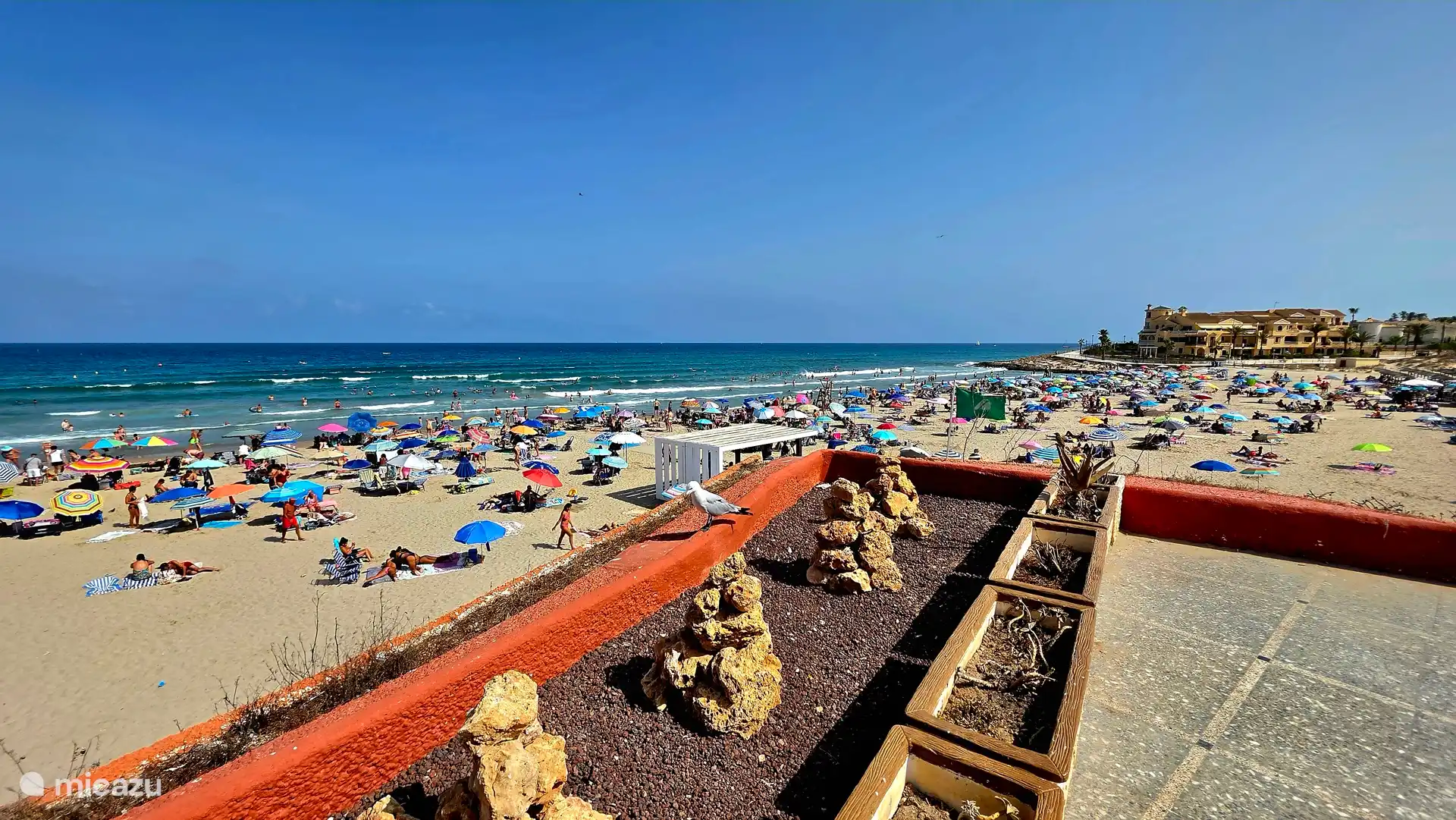 Playa de La Zenia