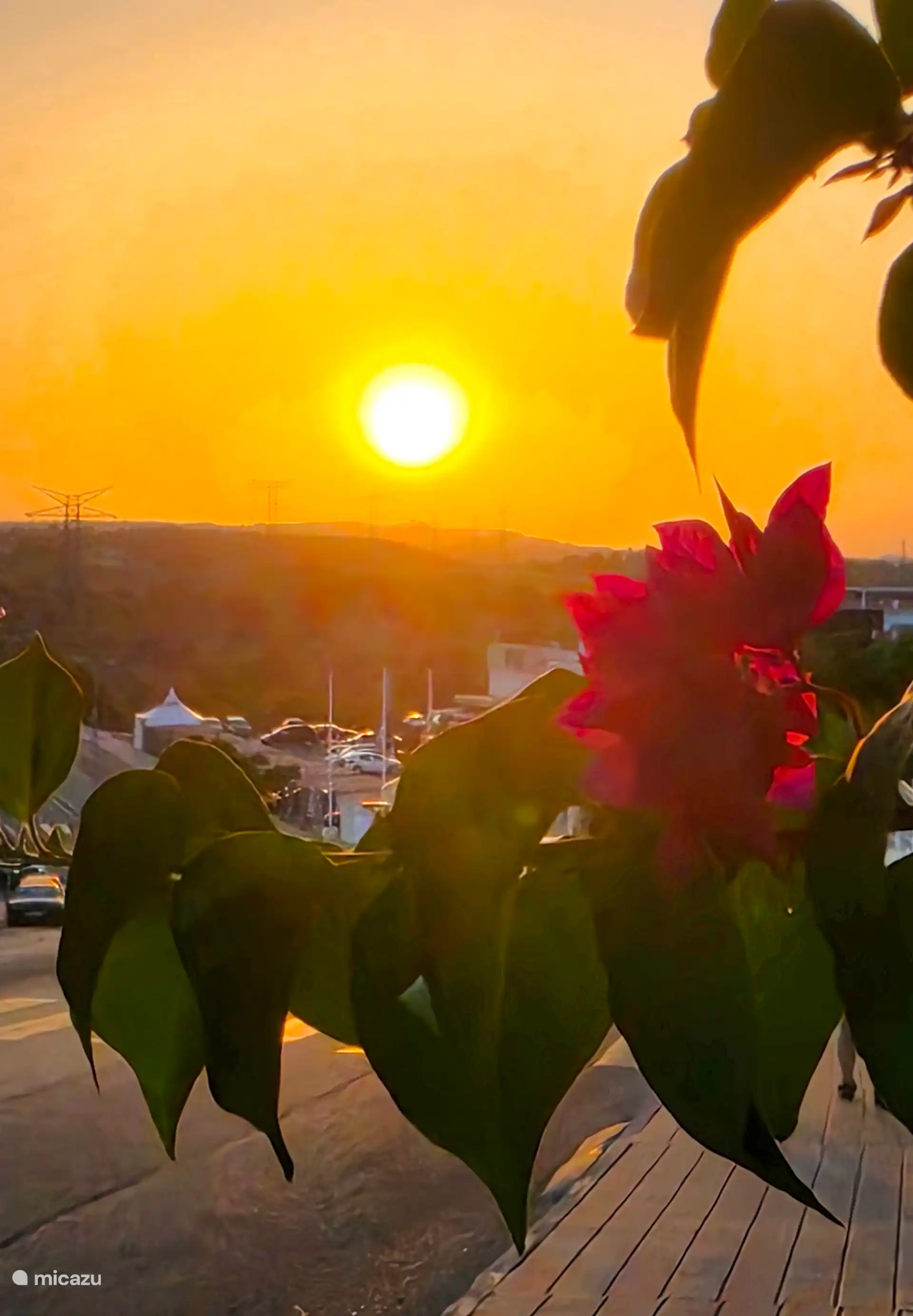 Atardecer