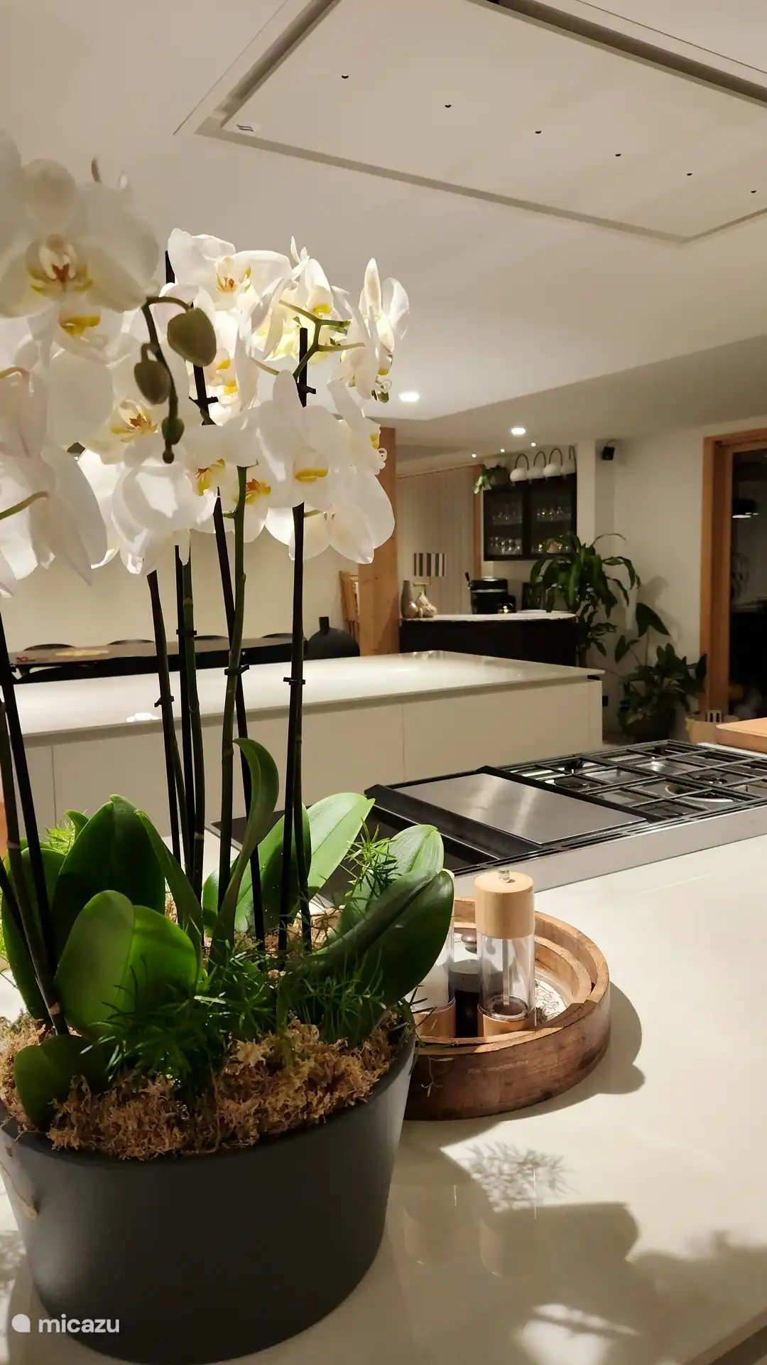 Cuisine moderne et élégante avec îlot central, alliant design et convivialité, idéale pour cuisiner et partager des moments en groupe.