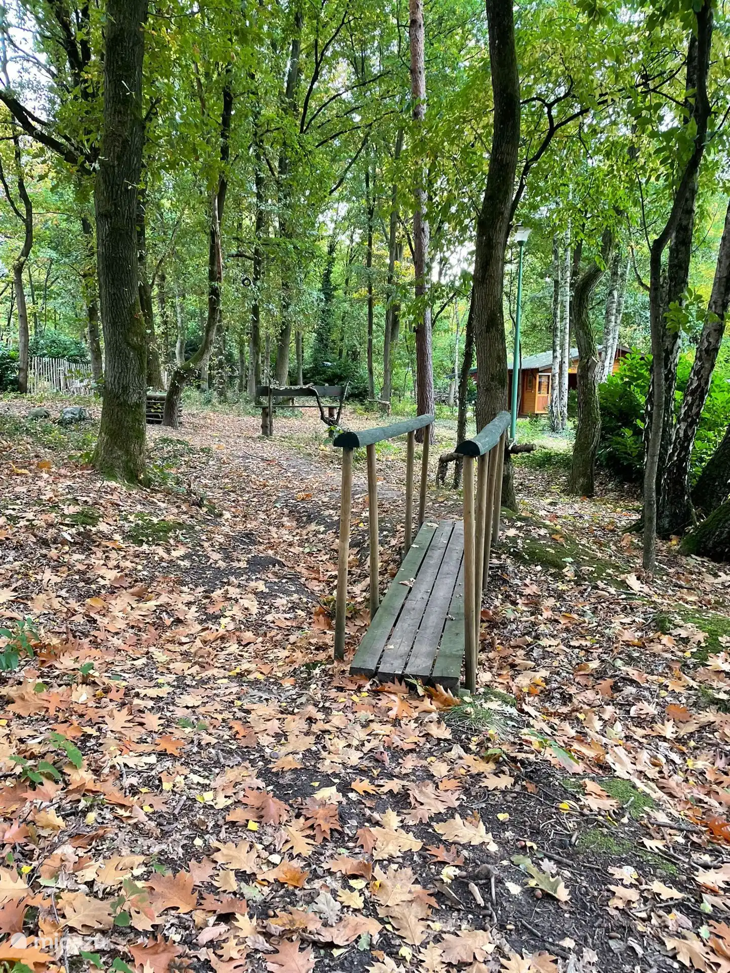 Vakantiepark de Krieckaert - Hoge Kempen - Pipowagen Limburg