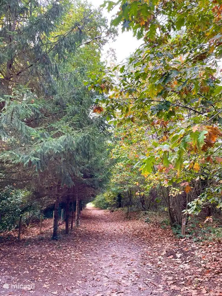 Vakantiepark de Krieckaert - Hoge Kempen - Pipowagen Limburg