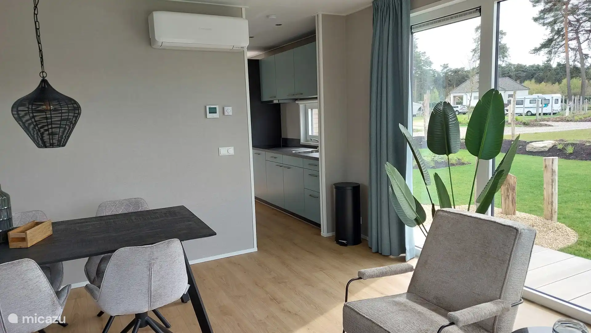 Living room with lots of light. 