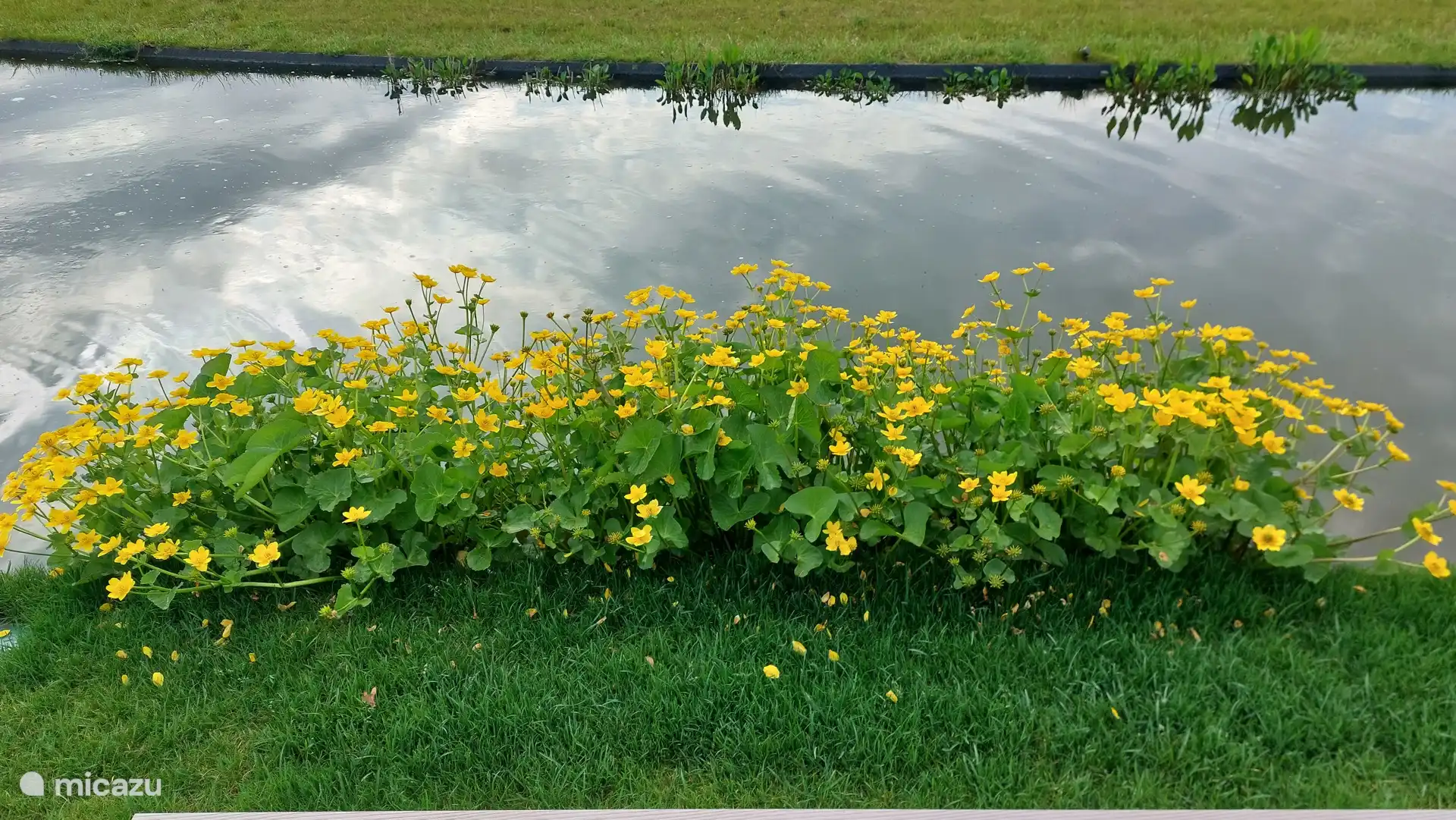 Colorido paseo marítimo. 