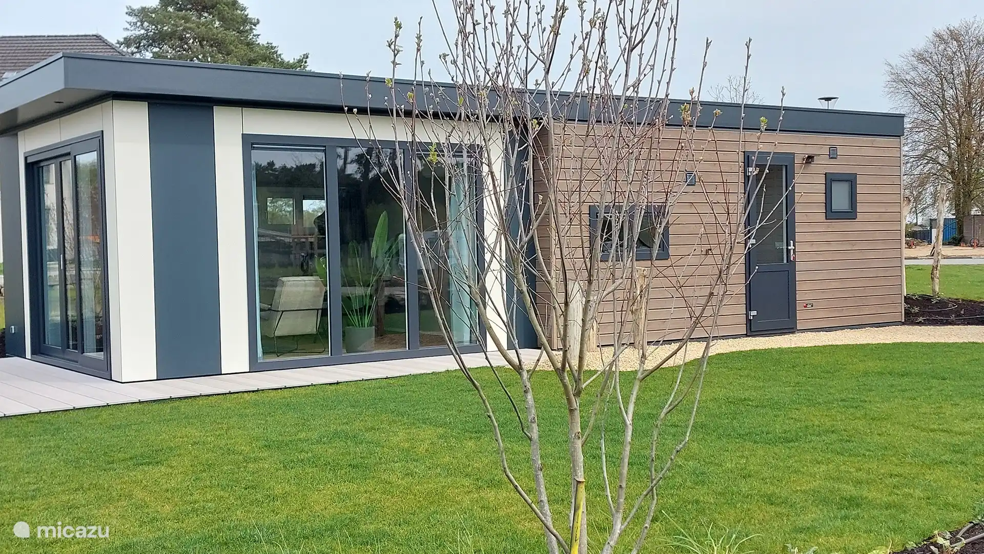 Space next to the house with grass and plants laid out under architecture. 