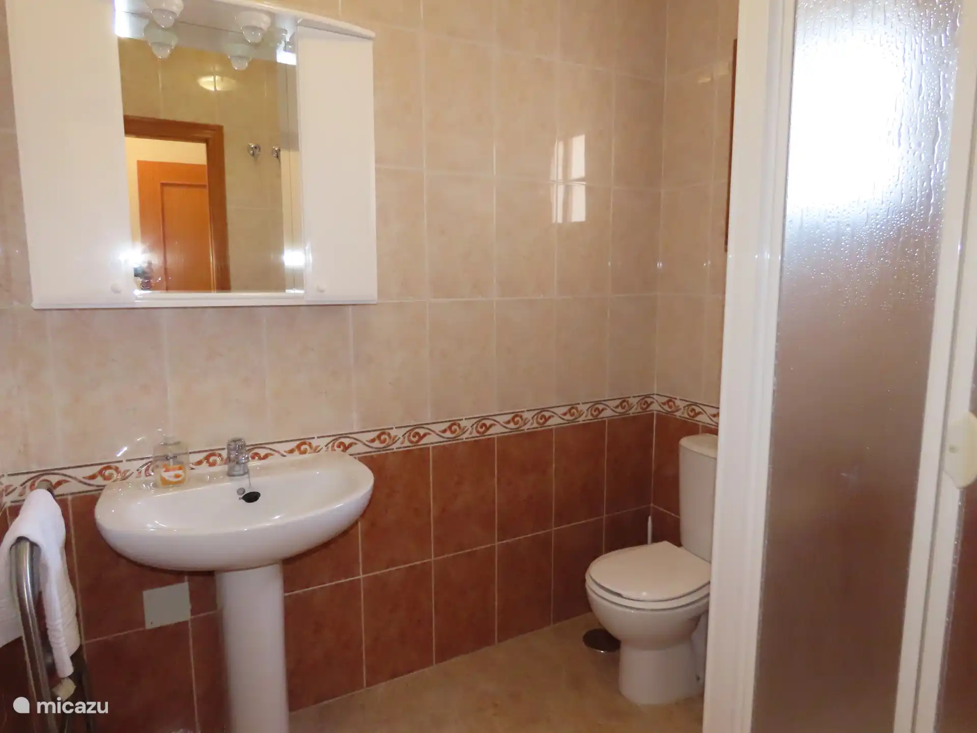 Badkamer met douche en toilet