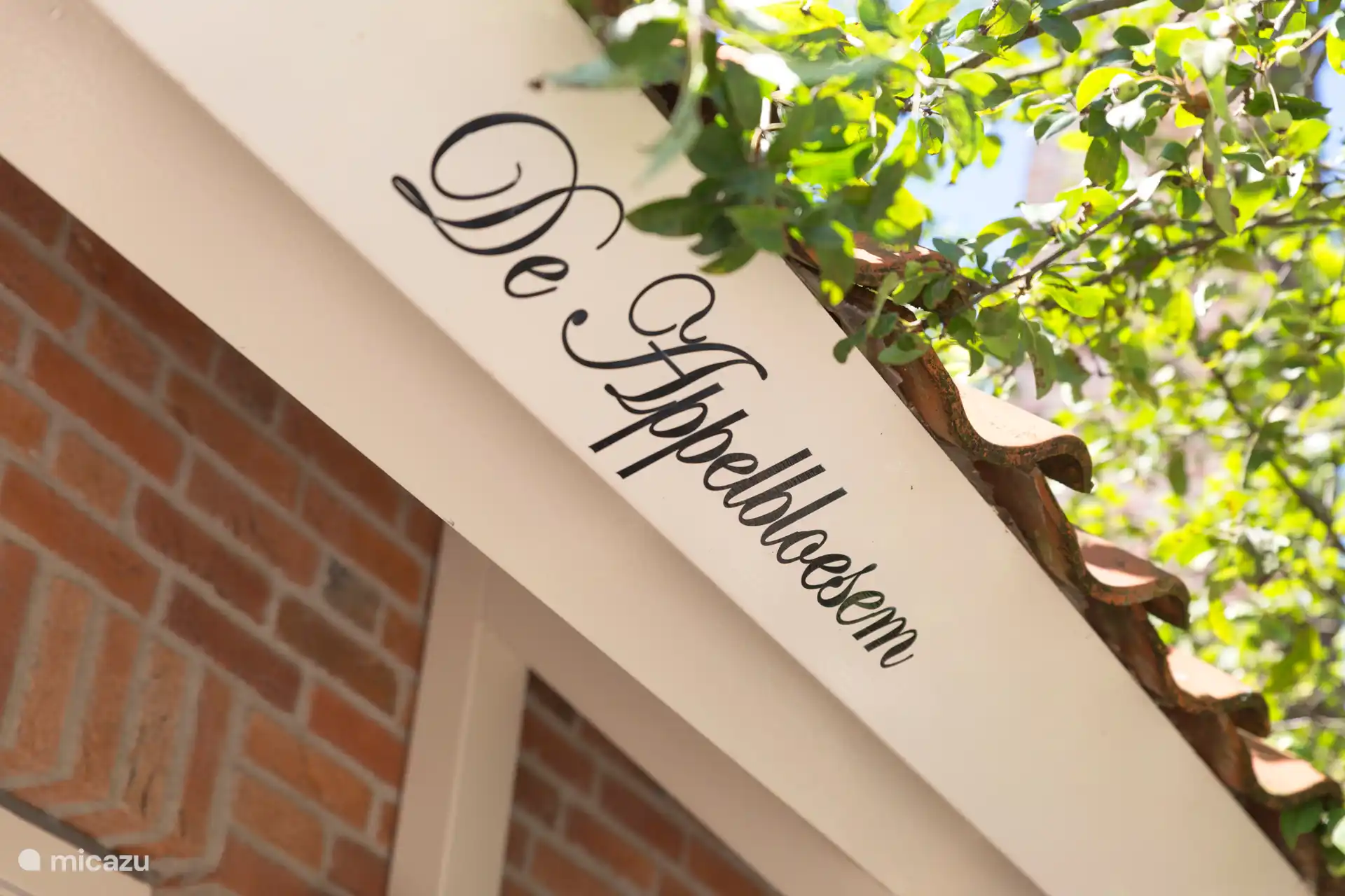 Welkom in de Appelbloesem