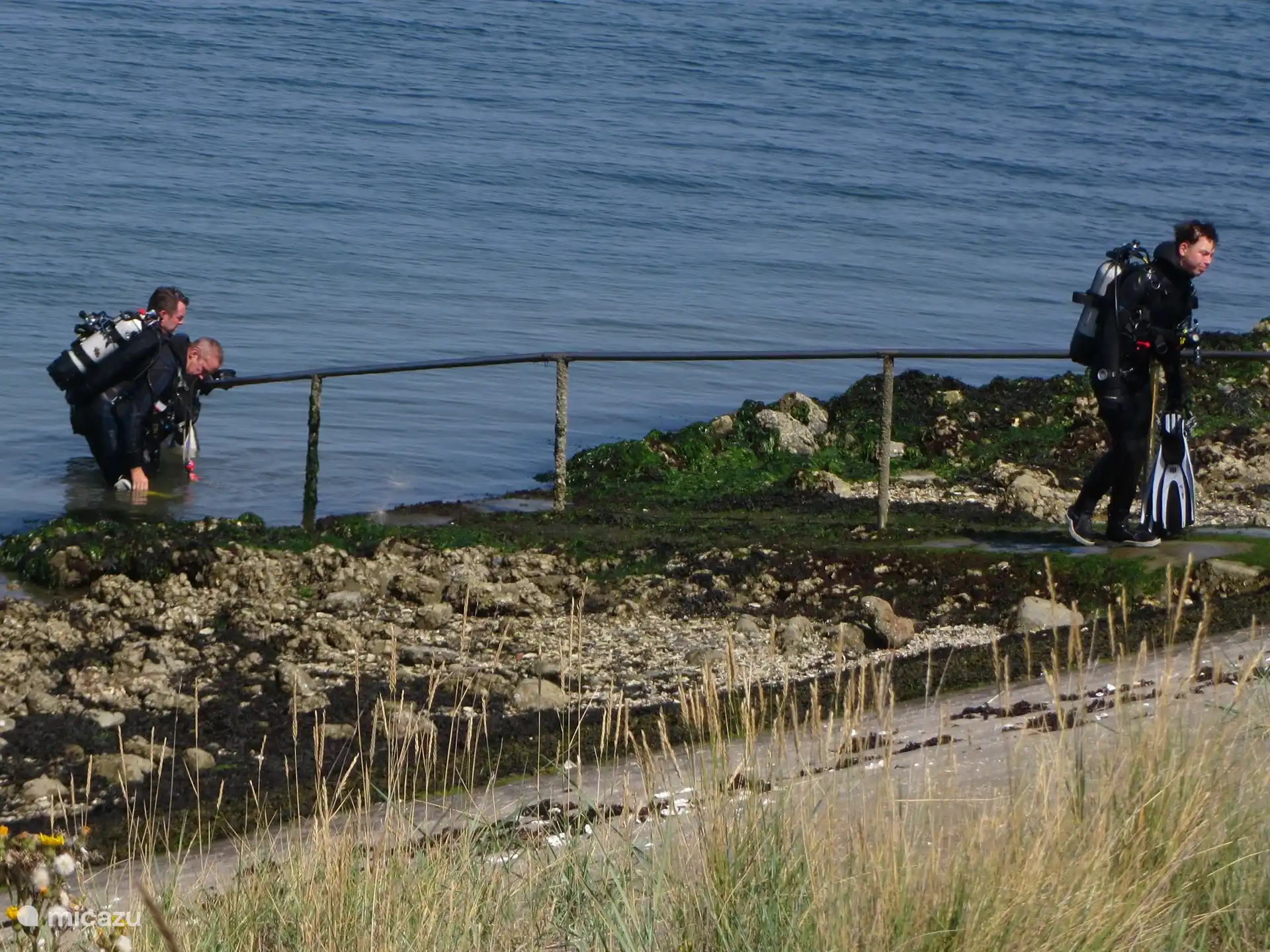 Buceadores en el Oosterschelde