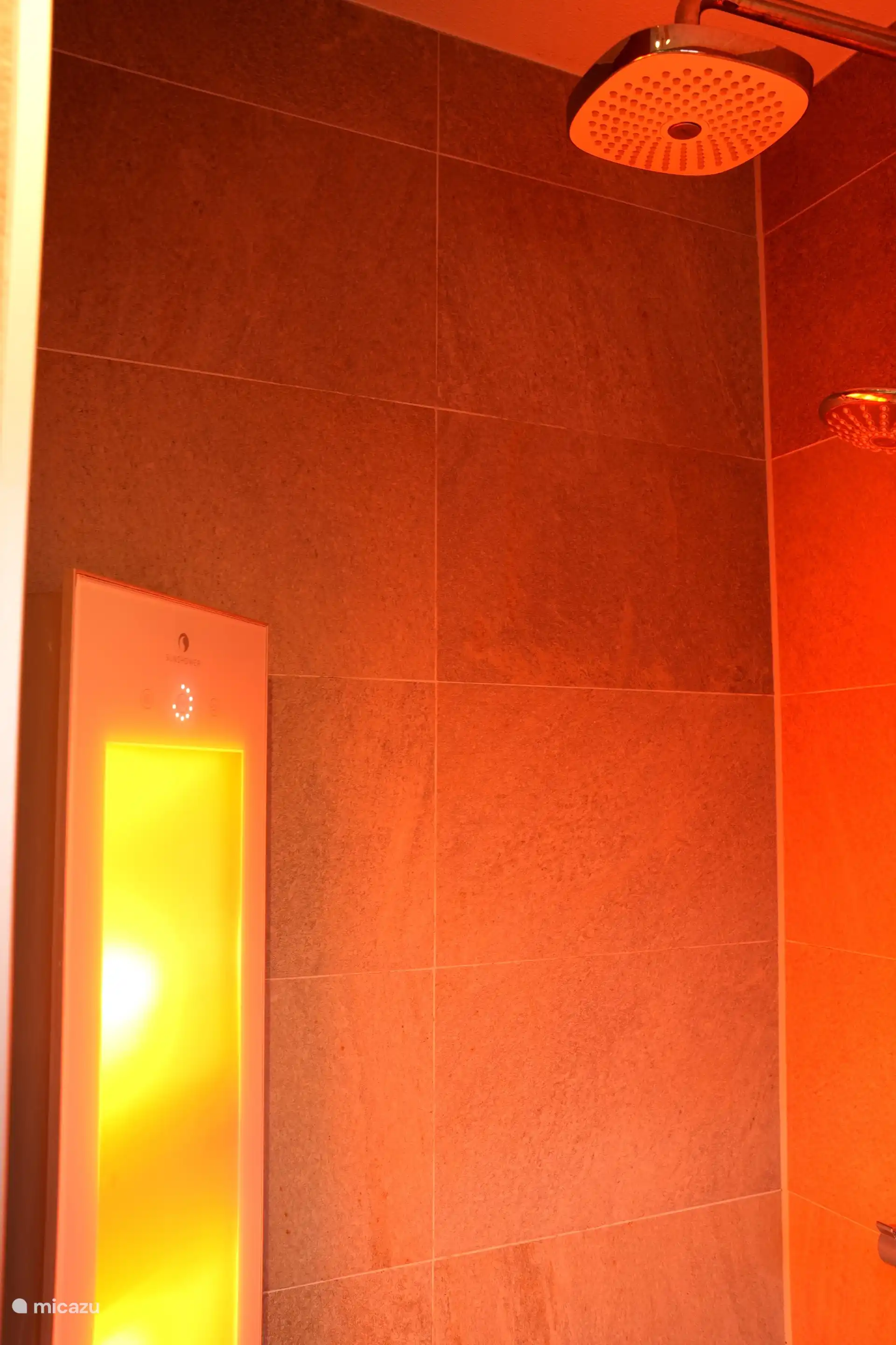 Sunshower van de Essenburgh