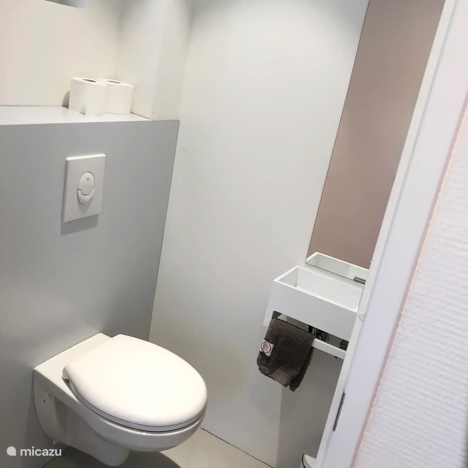 Toilet van de Kastanje