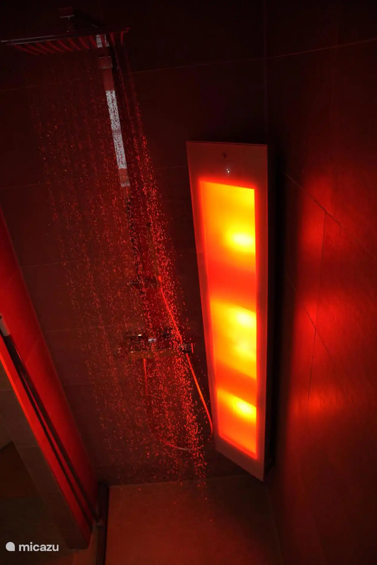 Infrarood met sunshower