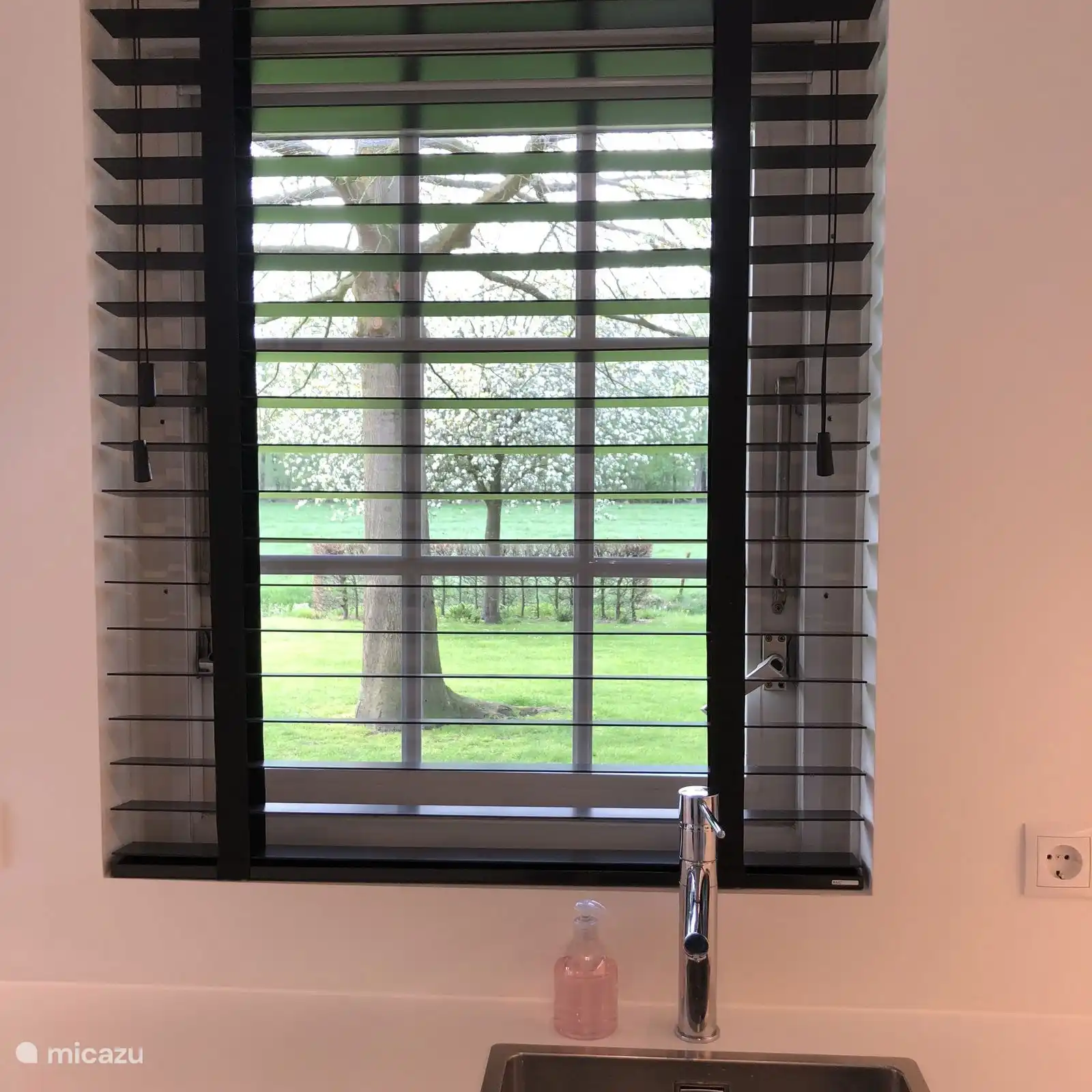 La vue de la cuisine sur le jardin 