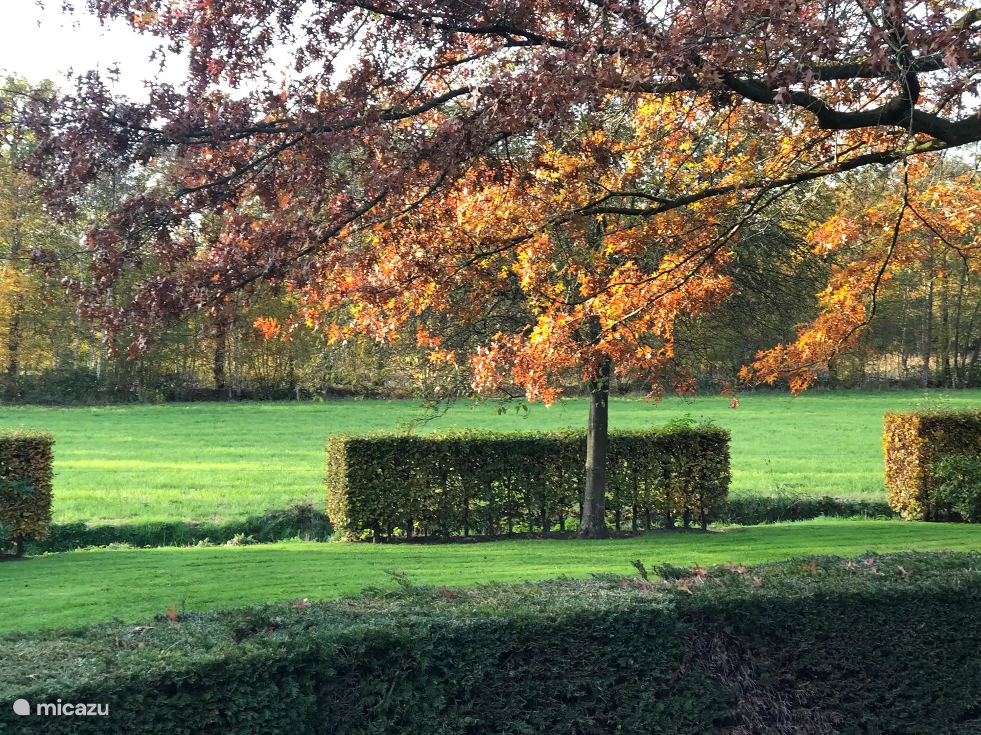 Le Lindenburg en automne avec de magnifiques vues