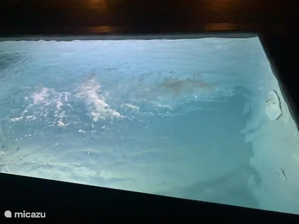 Zwembad met Jetstream