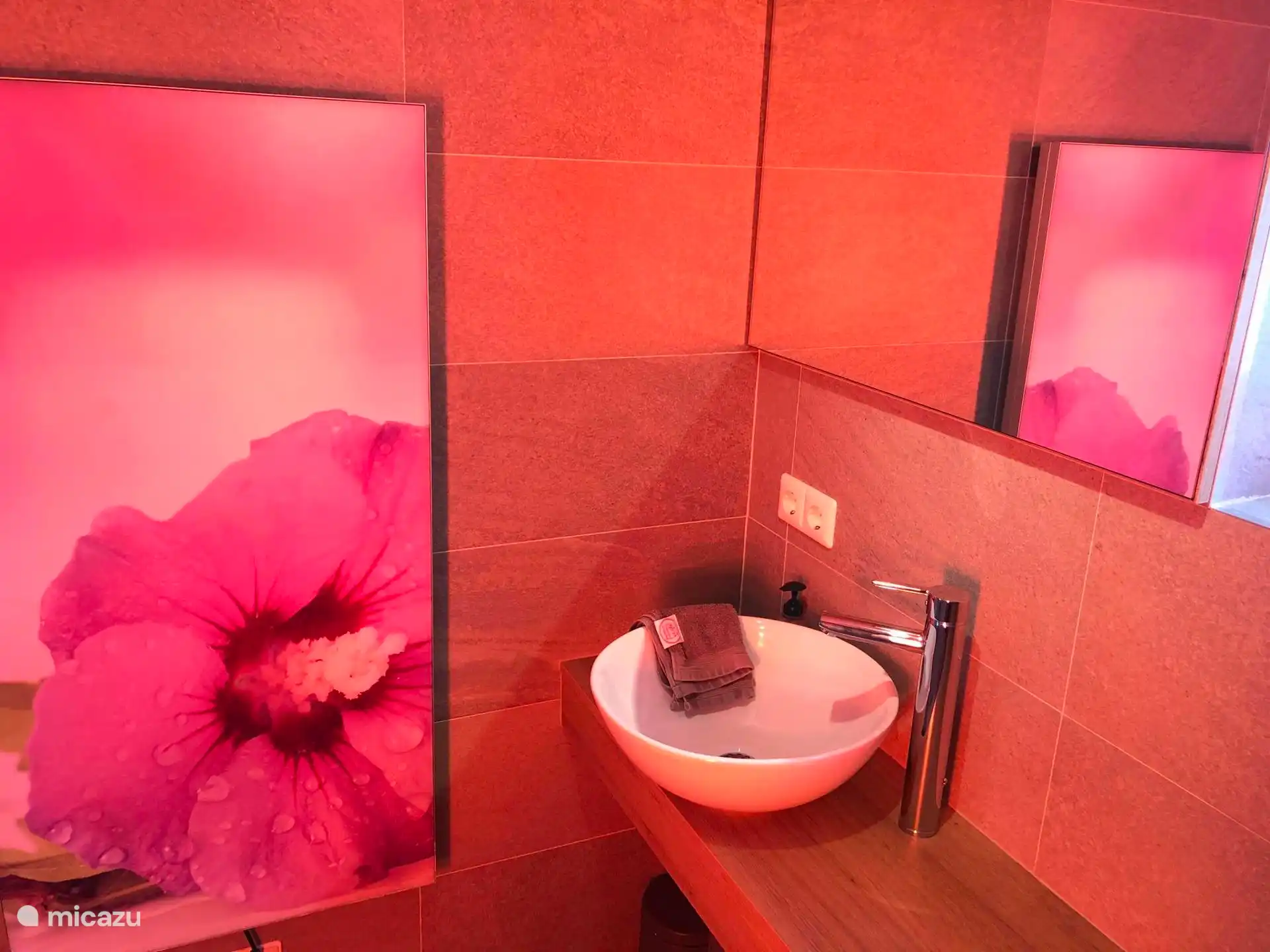 Badkamer met Sunshower