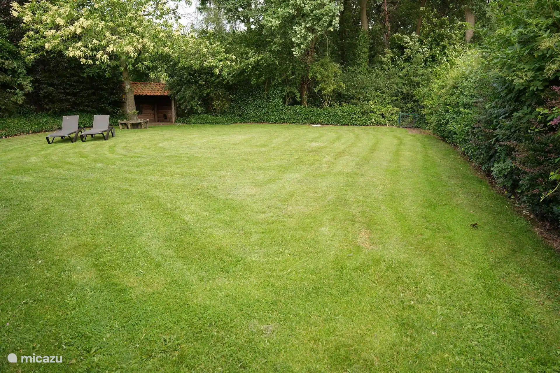 Onthaasten in de Achterhoek