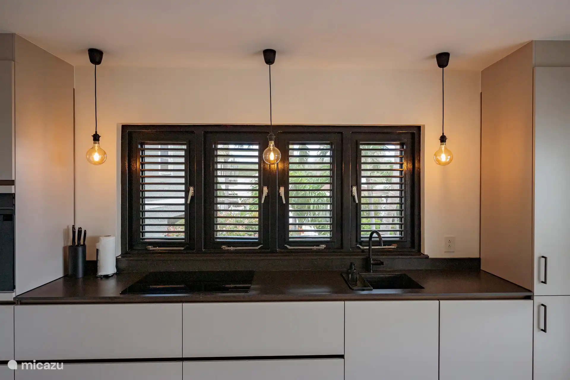 Nouvelle cuisine moderne avec plaque à induction et lave-vaisselle