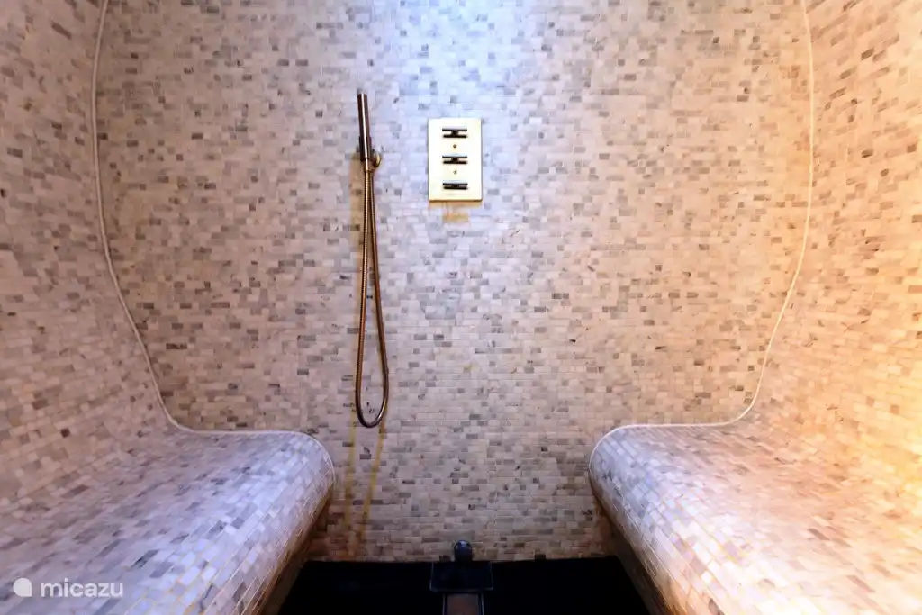 Shower and Turkish bath