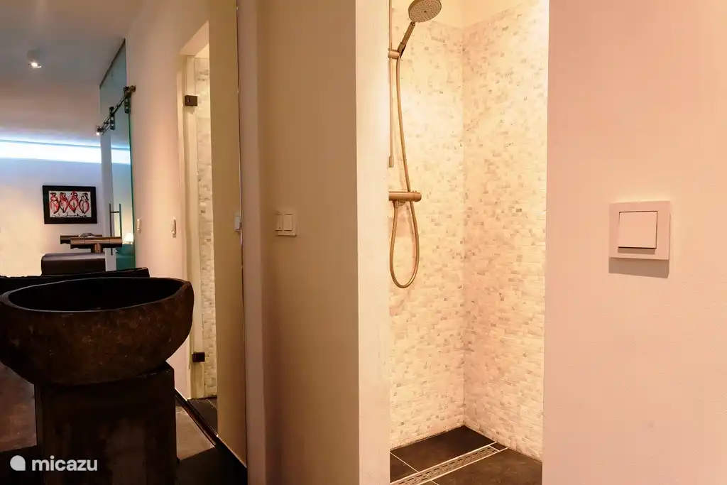 2nd bathroom with shower