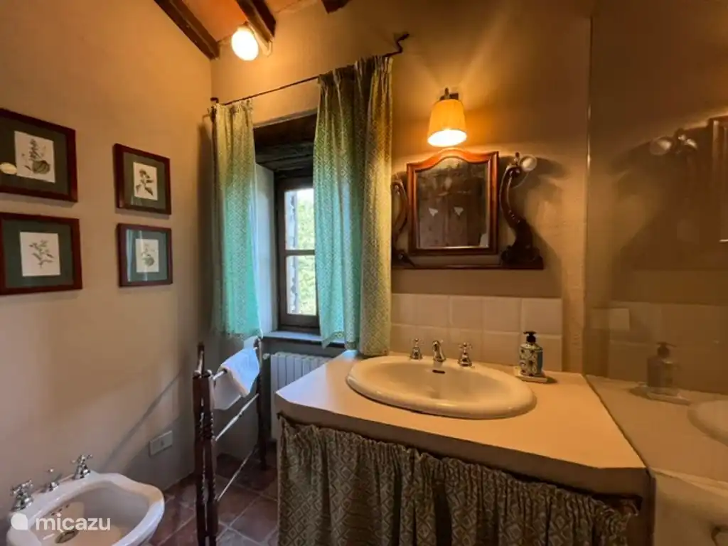 Badkamer met ligbad en douche in het bad