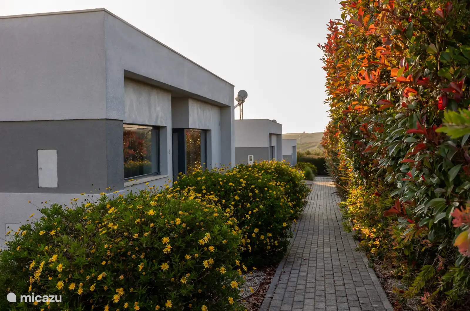 Camino hacia la puerta principal