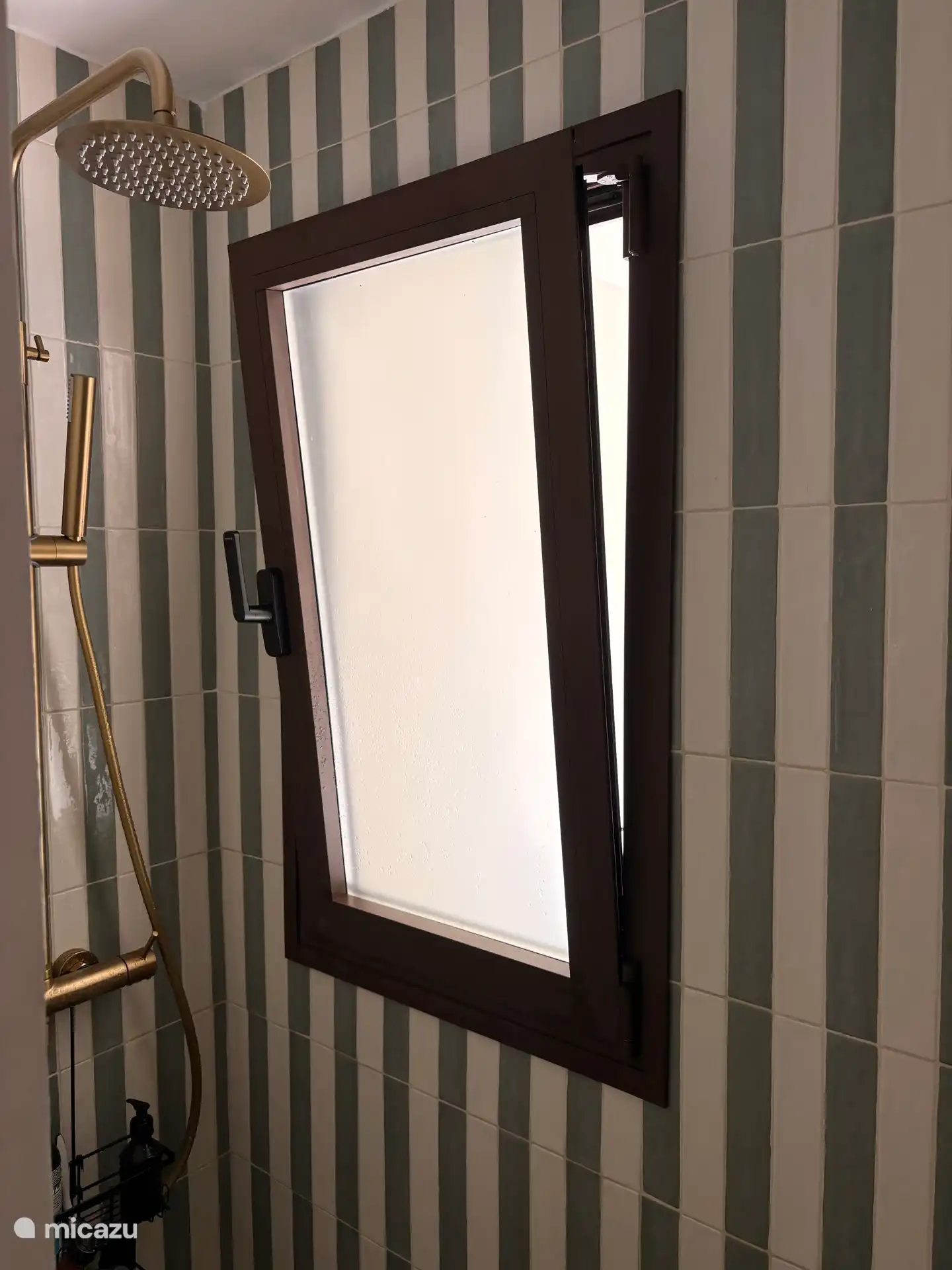 Badkamer met douche, toilet en wasbak horende bij appartement