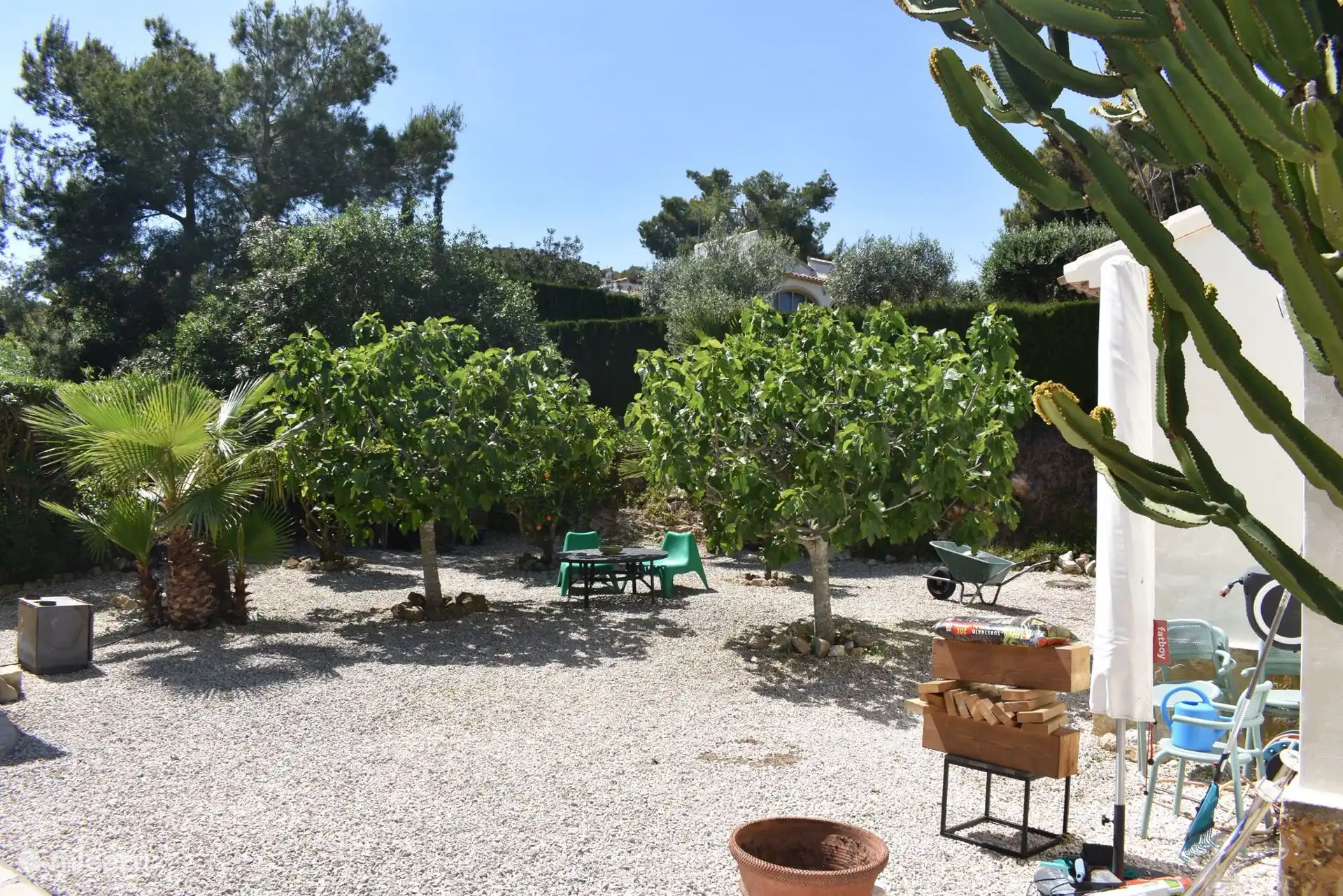 Vijgenbomen, sinaasappelbomen, Mandarijnboom, citroenbomen