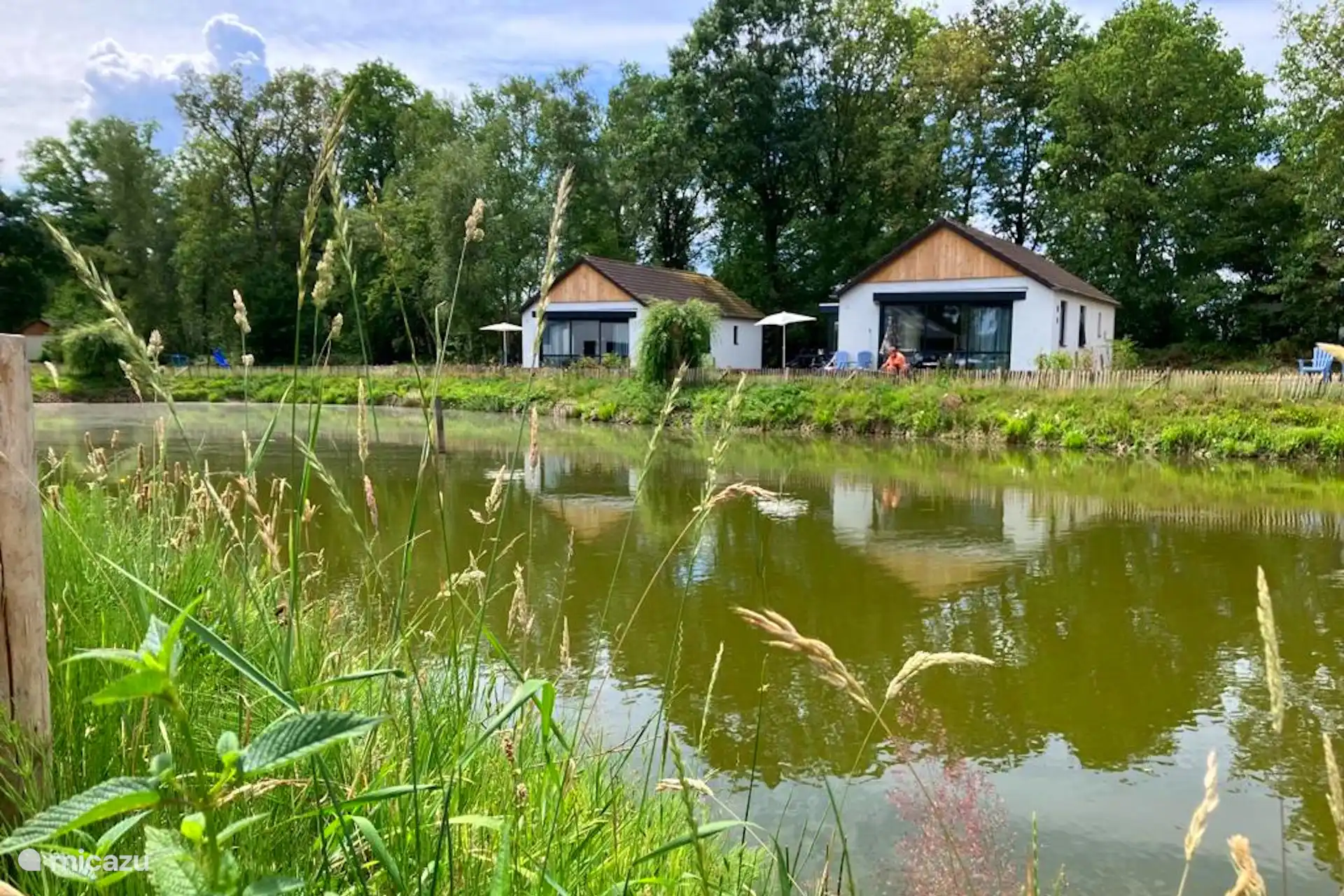 Bungalow Panoramasnip Visvijver in Niederlande, Overijssel, Denekamp - bungalow