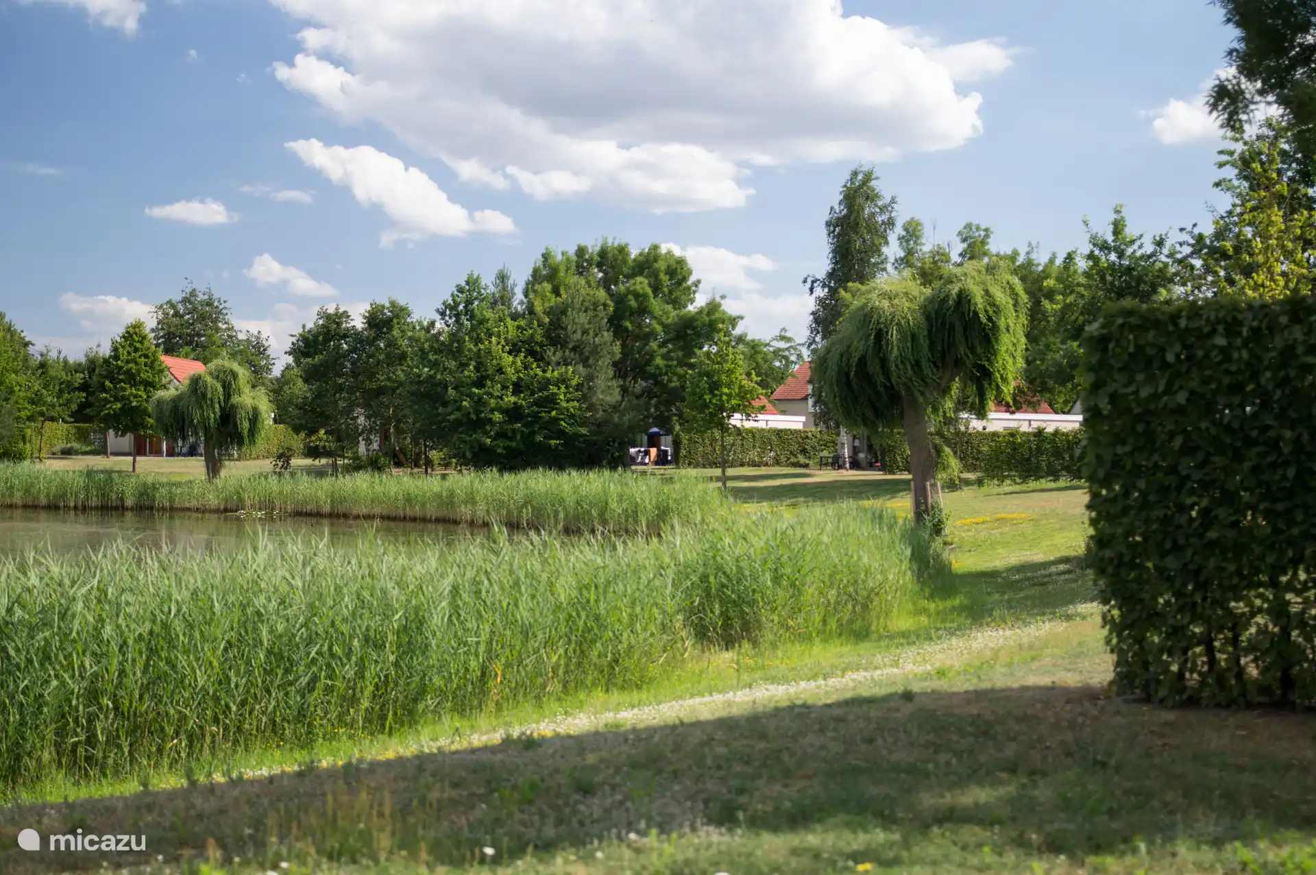 Viel Grün