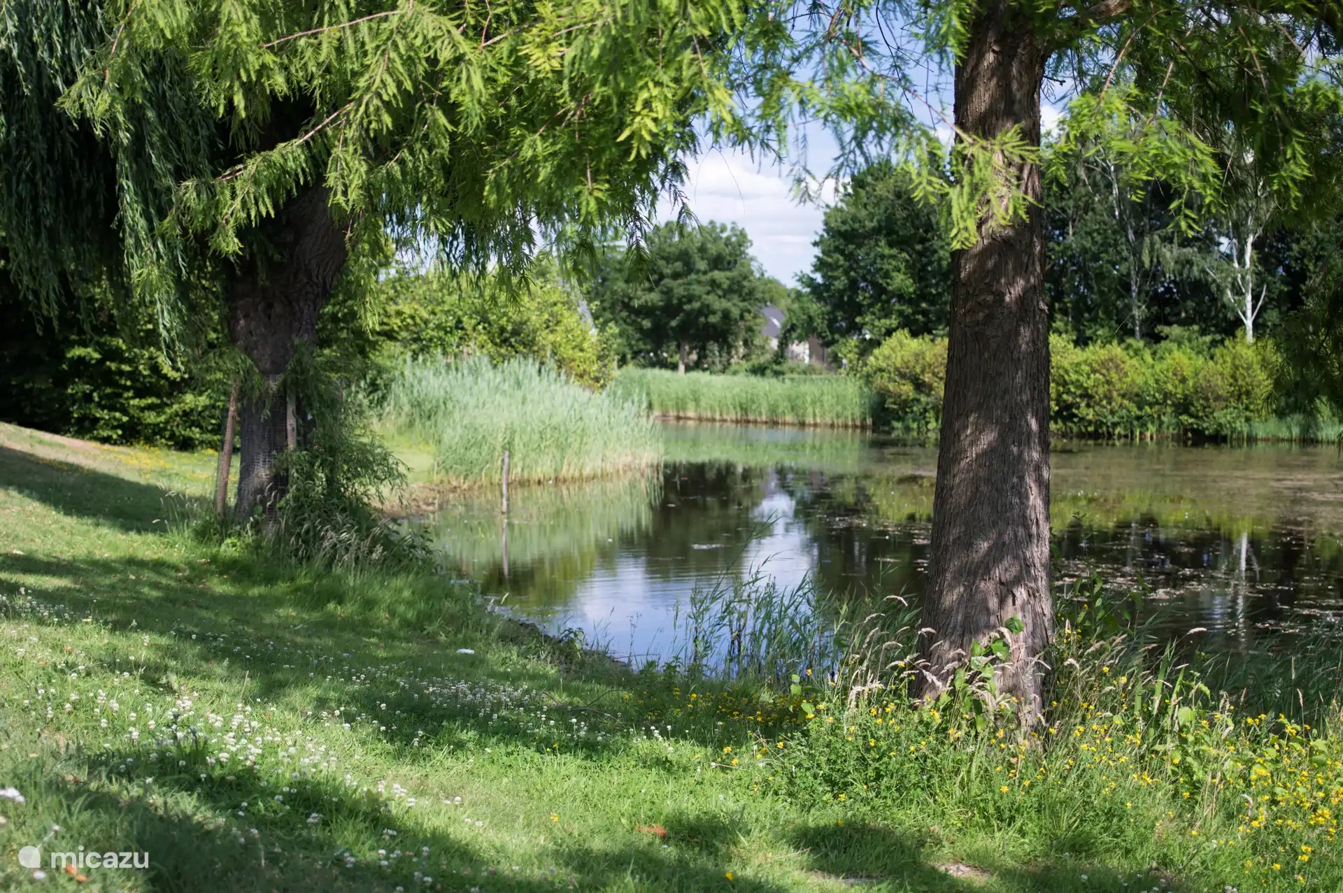 Im Park gibt es viel Grün