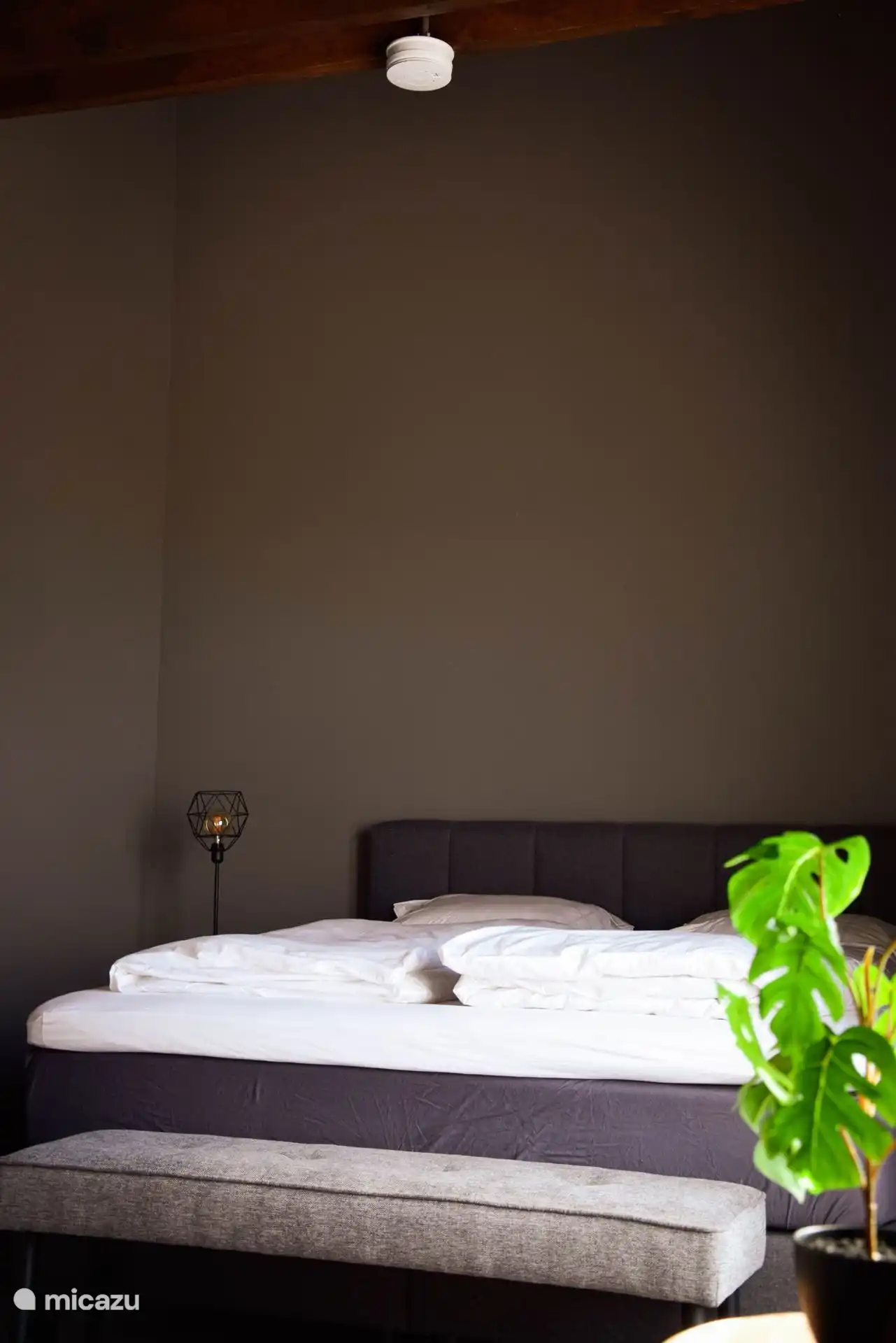 Cama