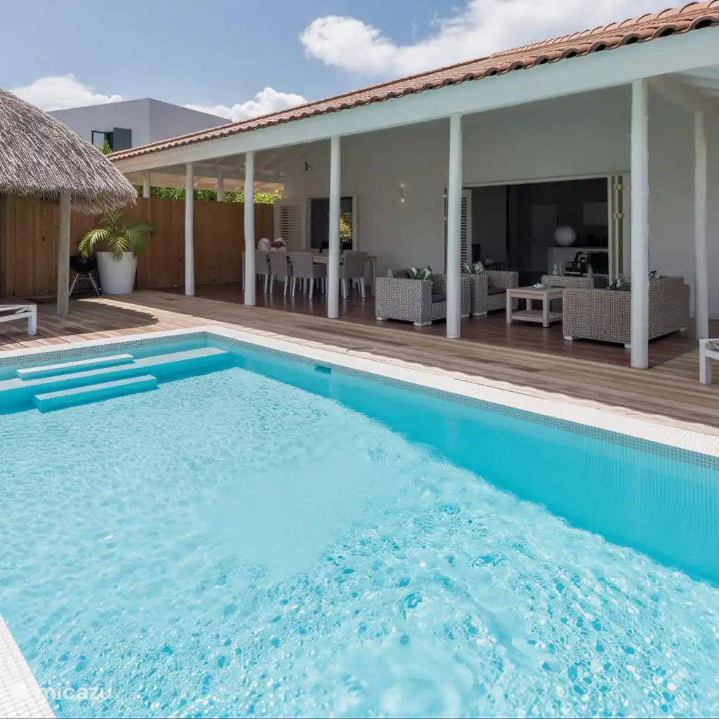 Villa Vidalou | Pool & Palapa