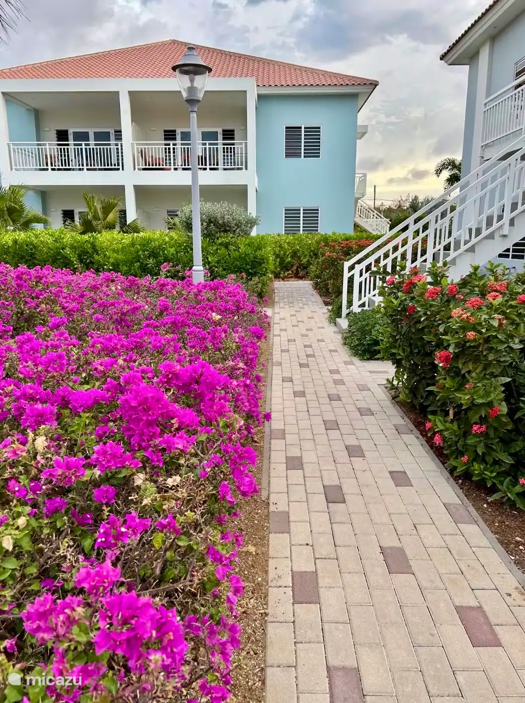 Un hermoso jardín triope.