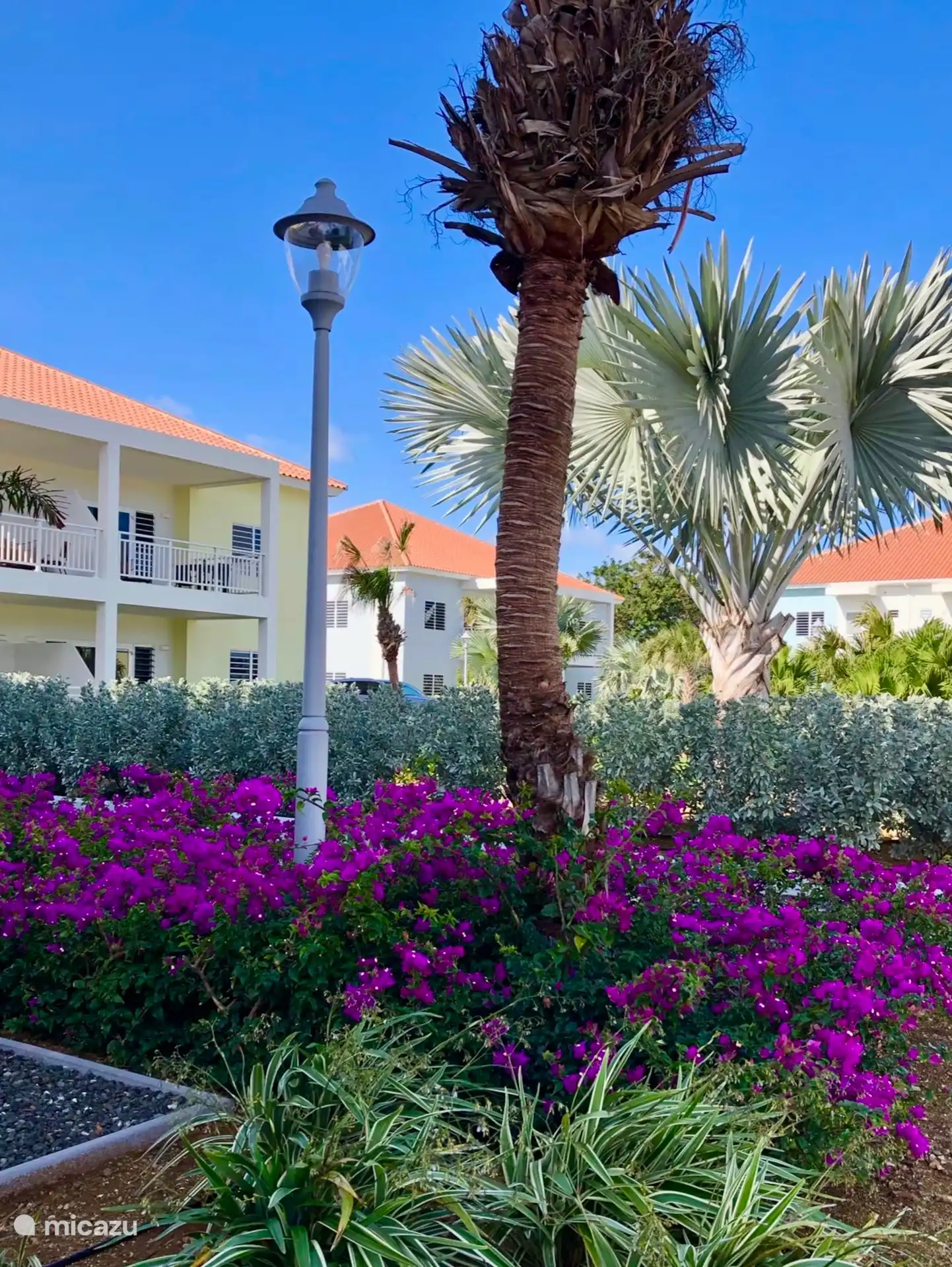 Un hermoso jardín triope.