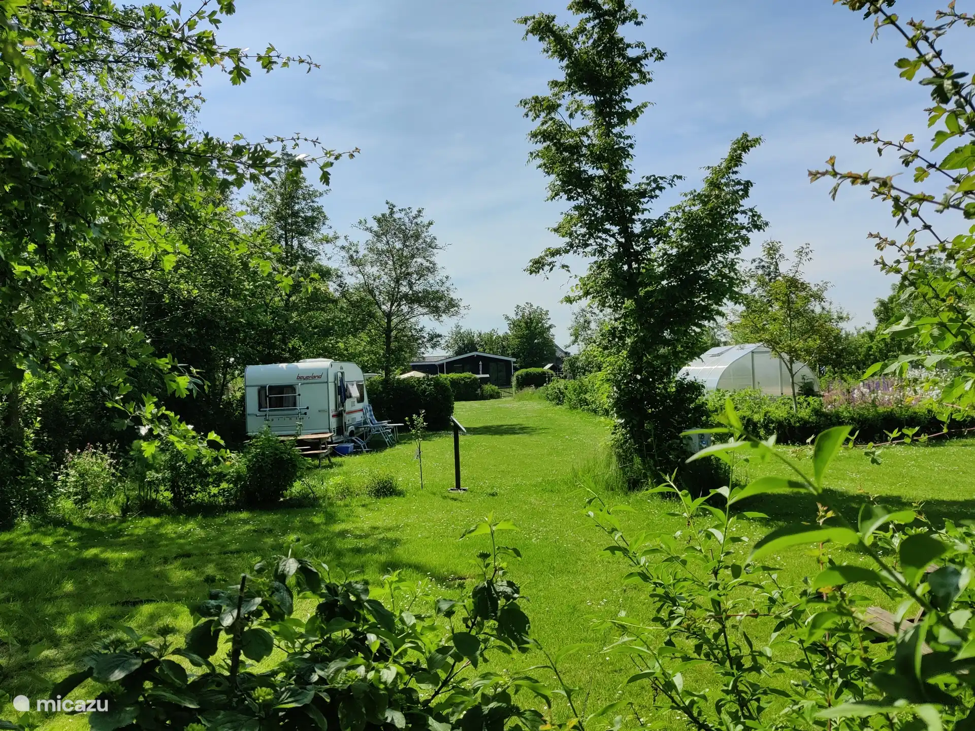 Park met veel groen