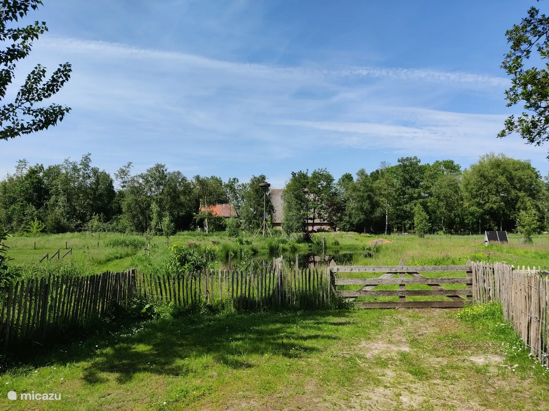 Omgeving park