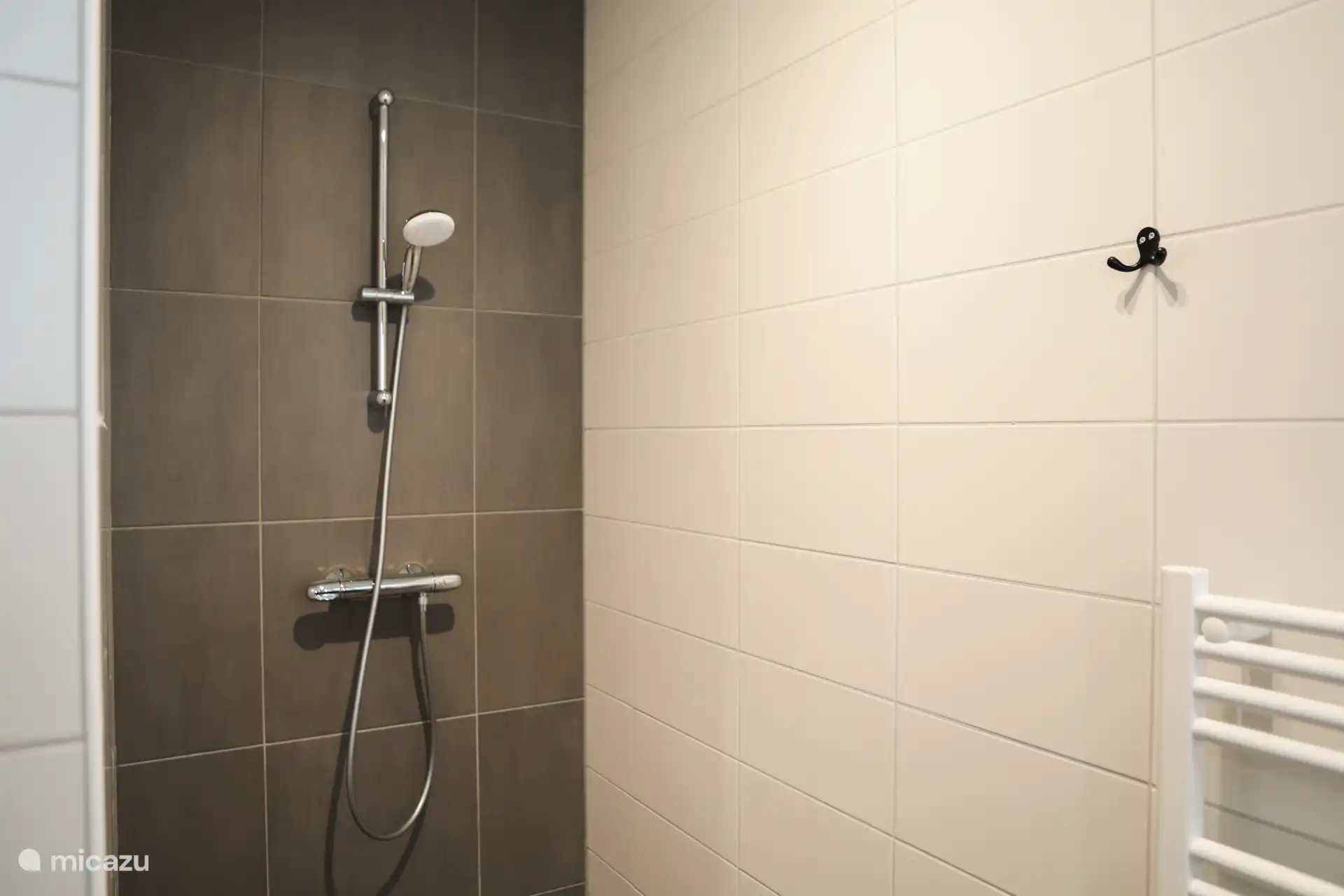 Douche dans la salle de bain