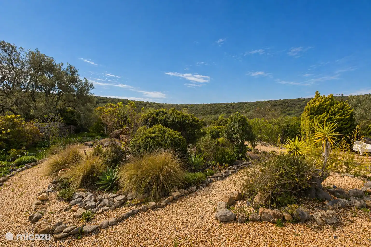 Spacious garden with complete privacy!
